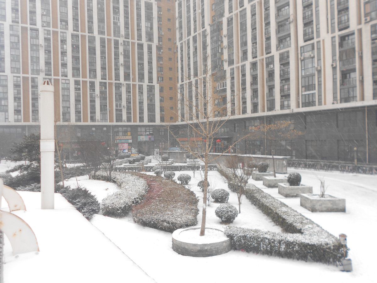 10AM新坐标 environment