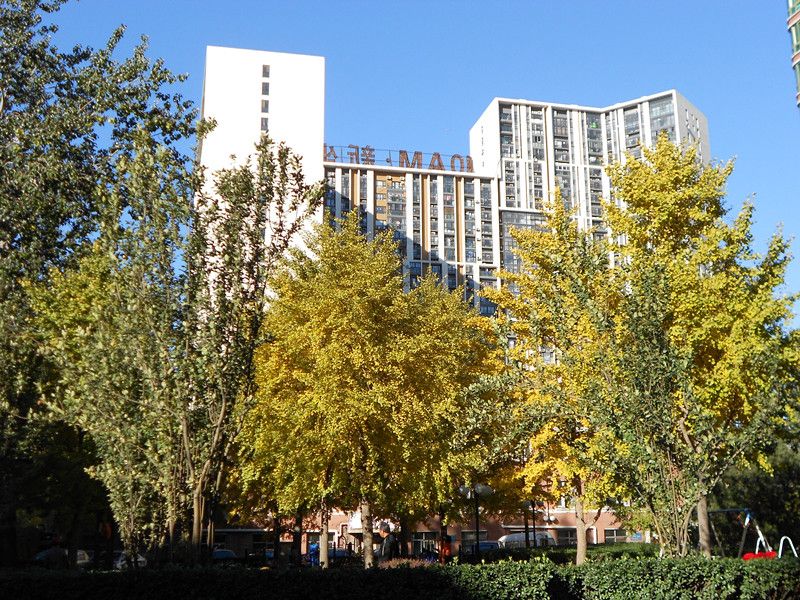 10AM新坐标 environment