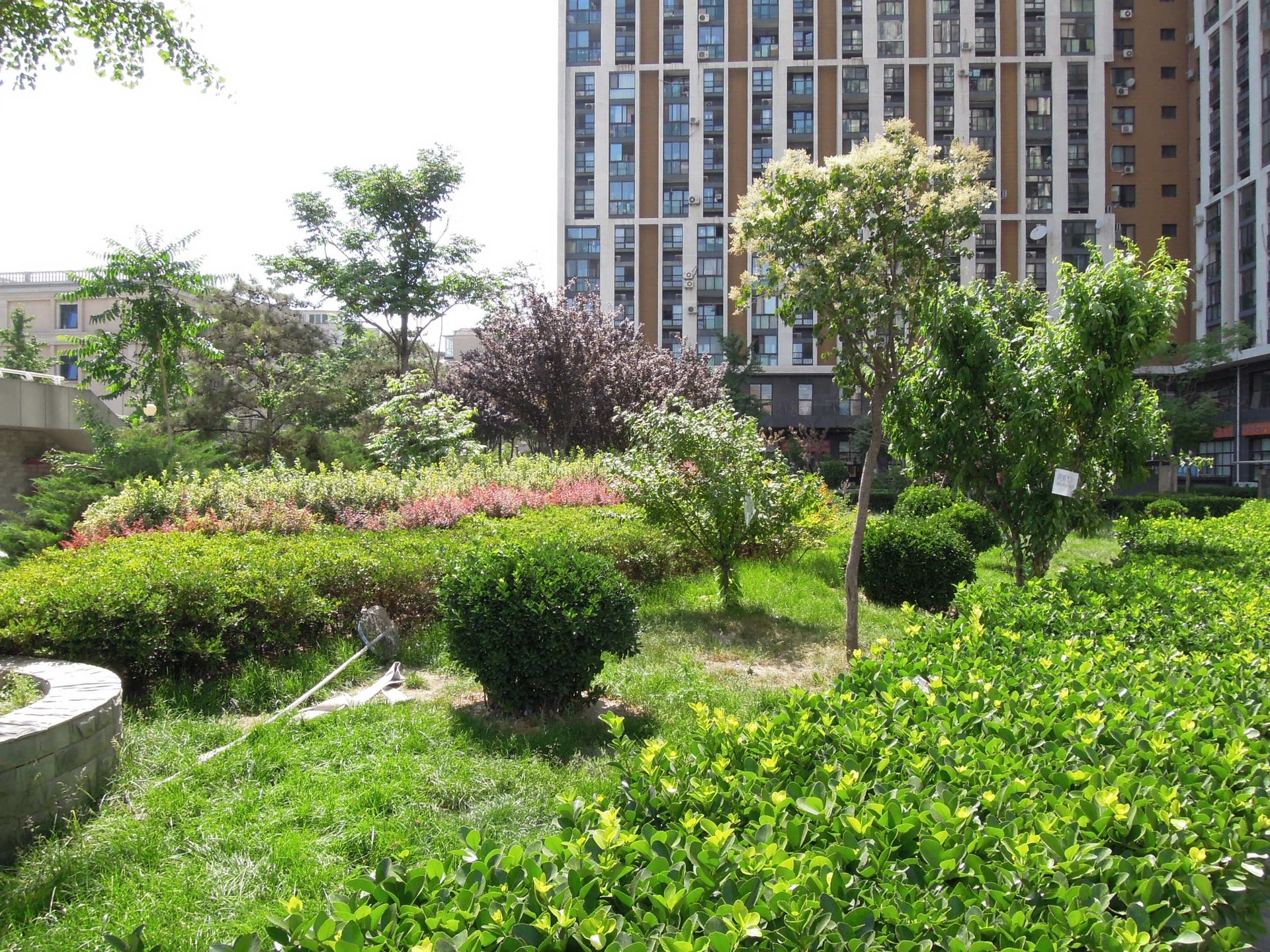 10AM新坐标 environment