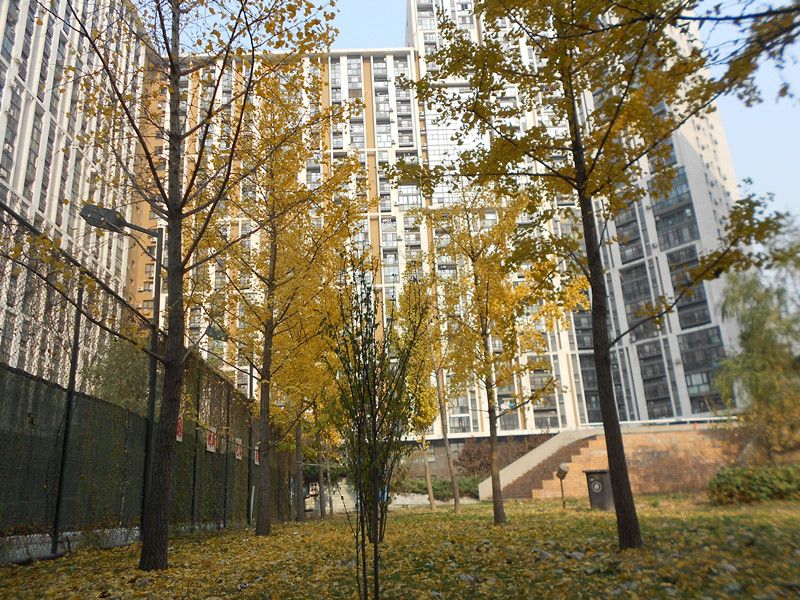 10AM新坐标 environment