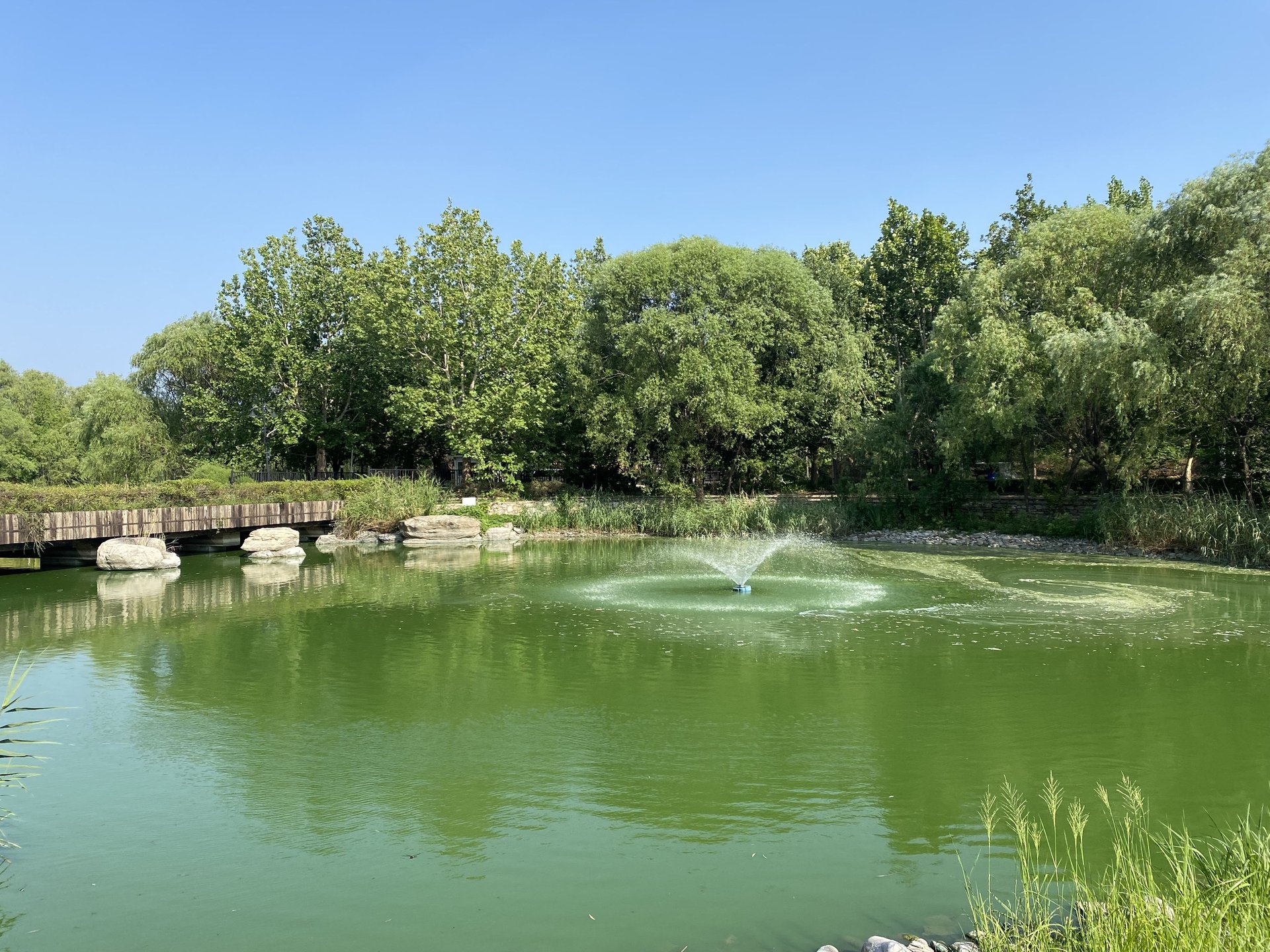 CBD国际高尔夫别墅 environment