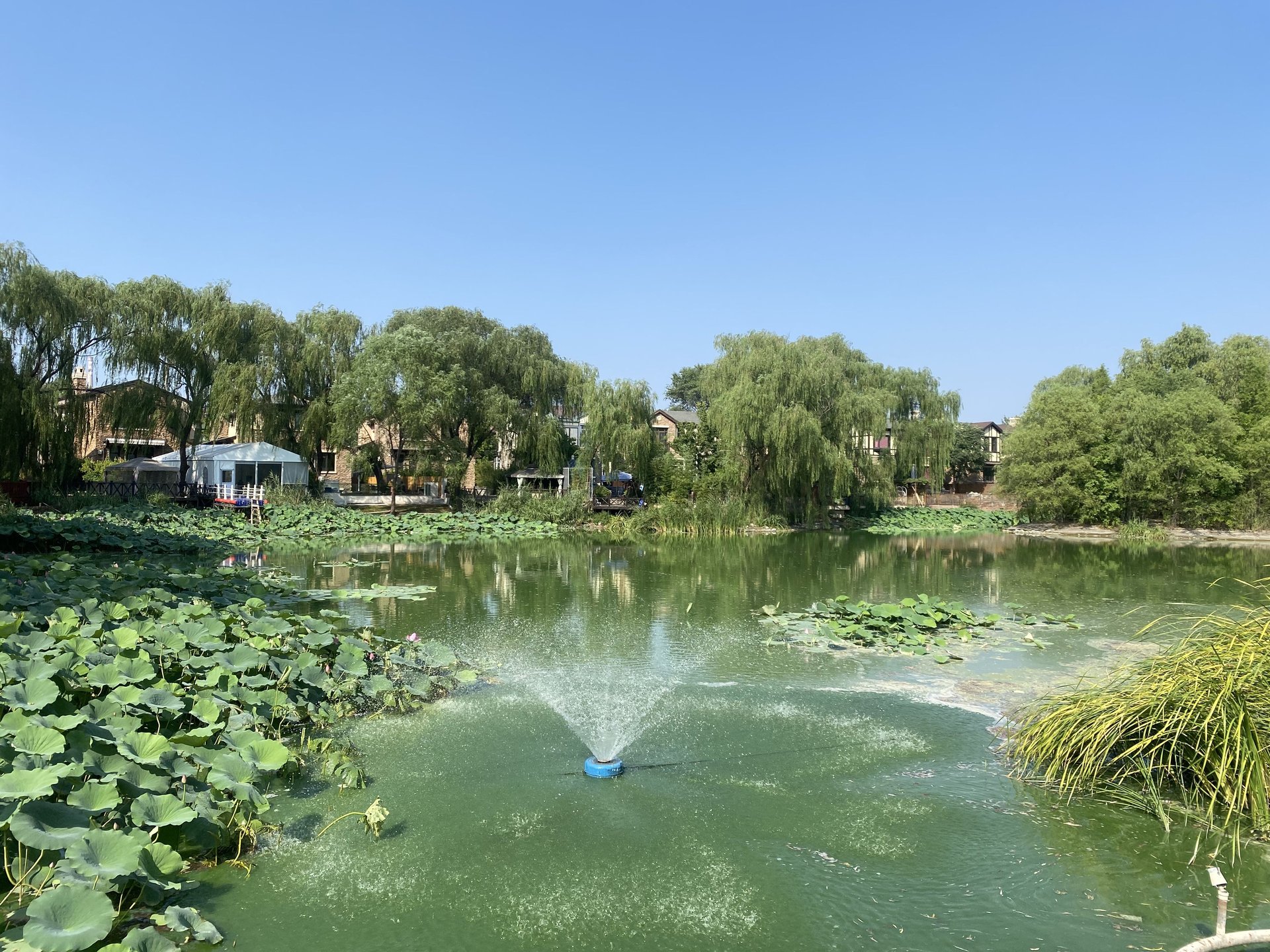 CBD国际高尔夫别墅 environment