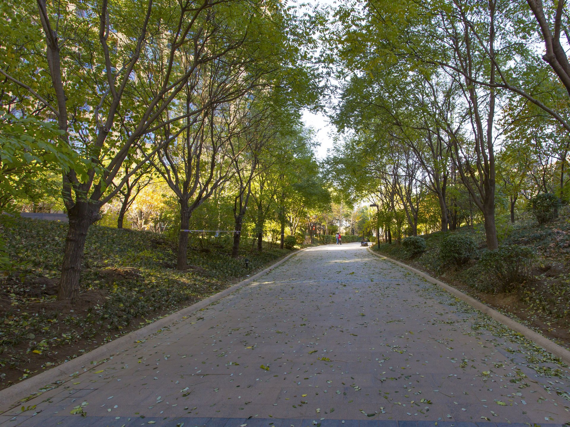 K2清水湾 environment