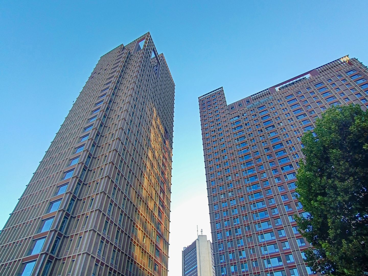 US联邦公寓 environment