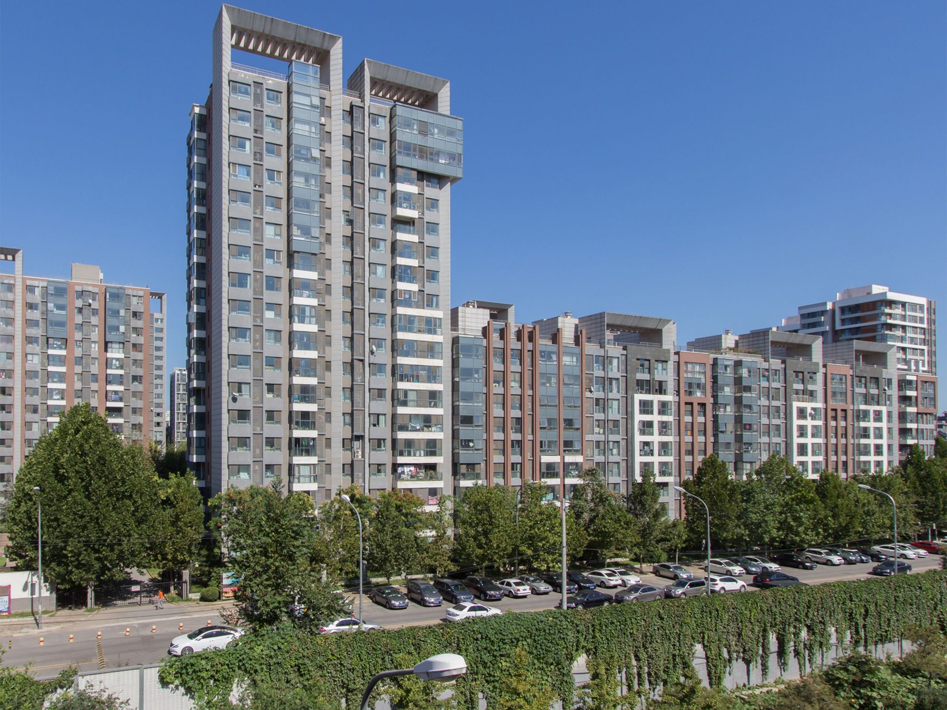 爱这城一期 environment