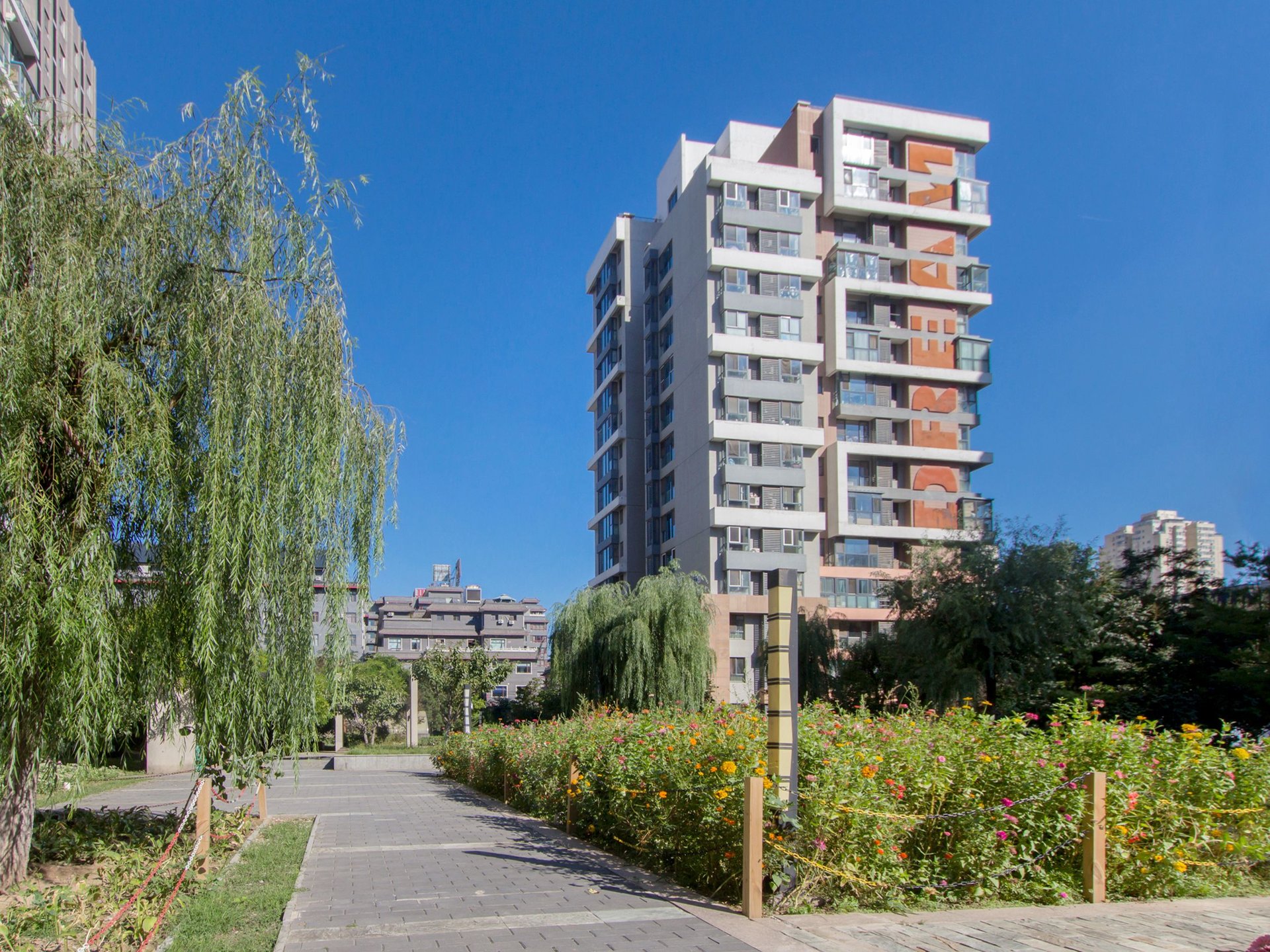 爱这城一期 environment