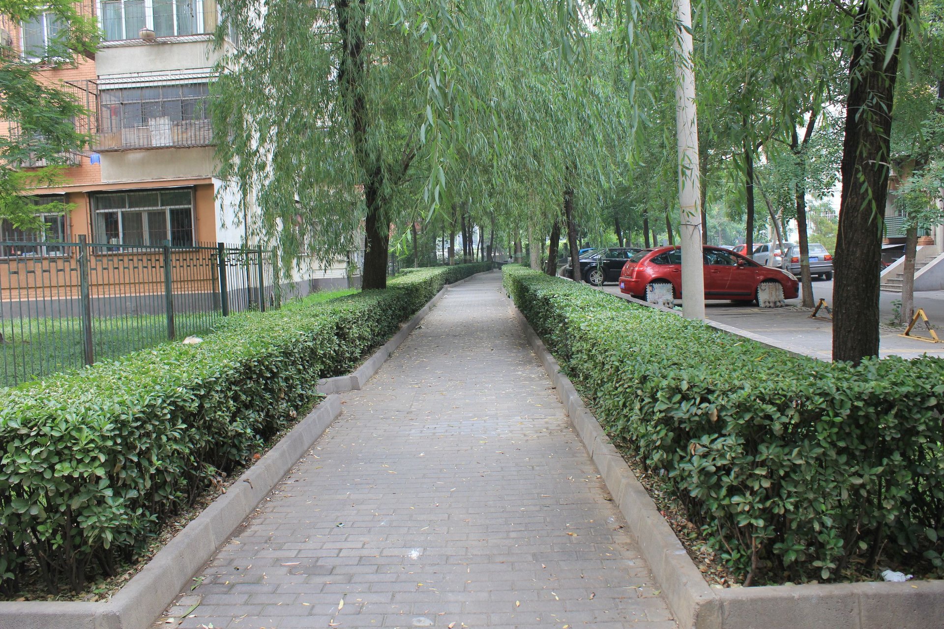 安华里社区 environment