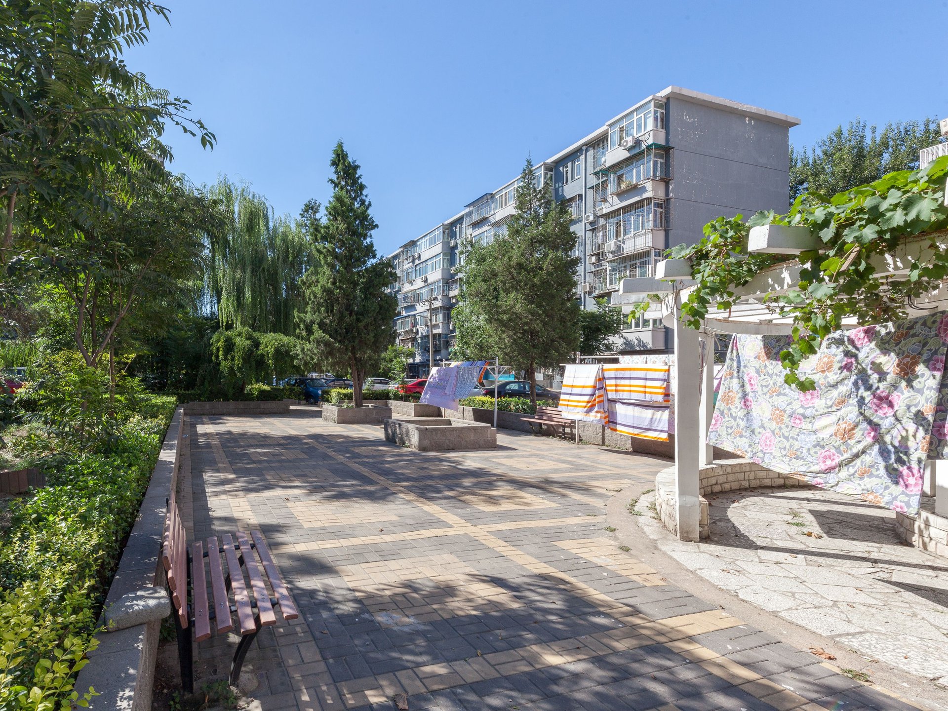 安贞西里 environment