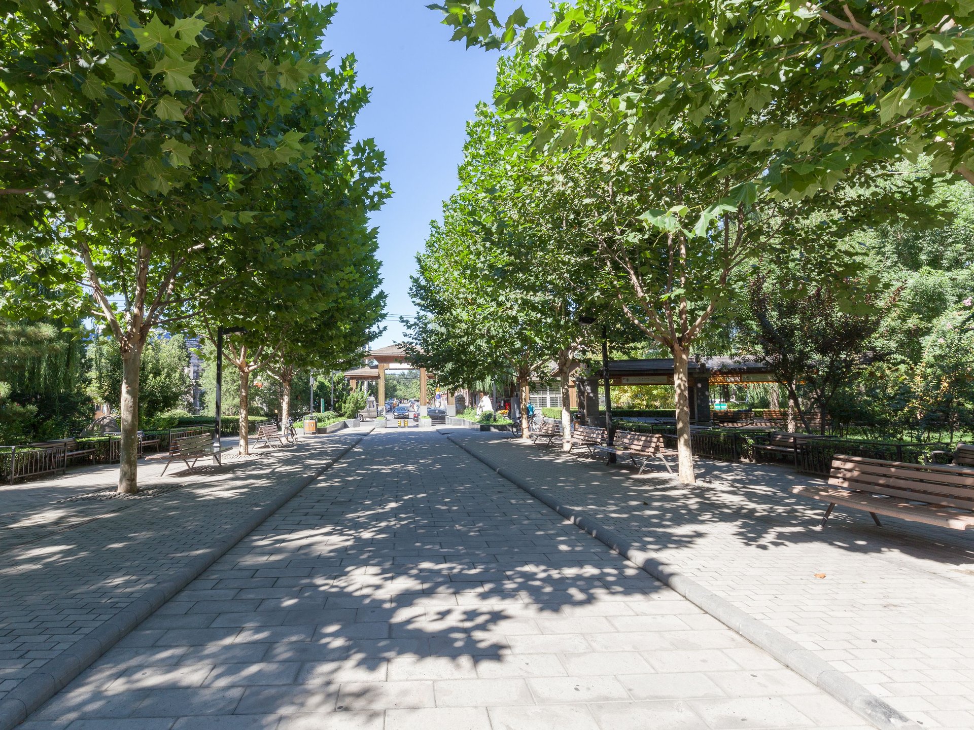 安贞西里 environment