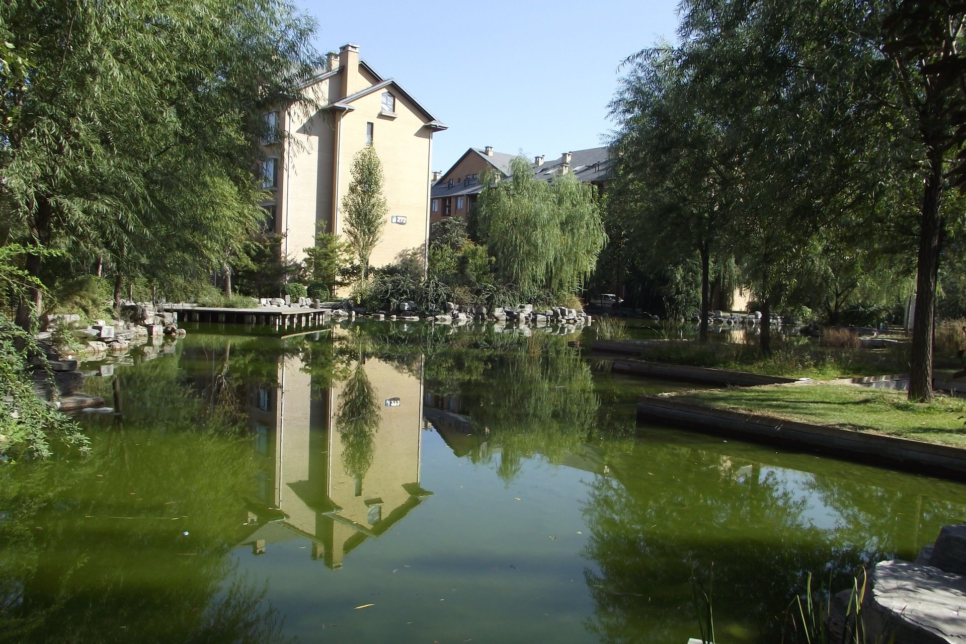 奥林匹克花园二期 environment