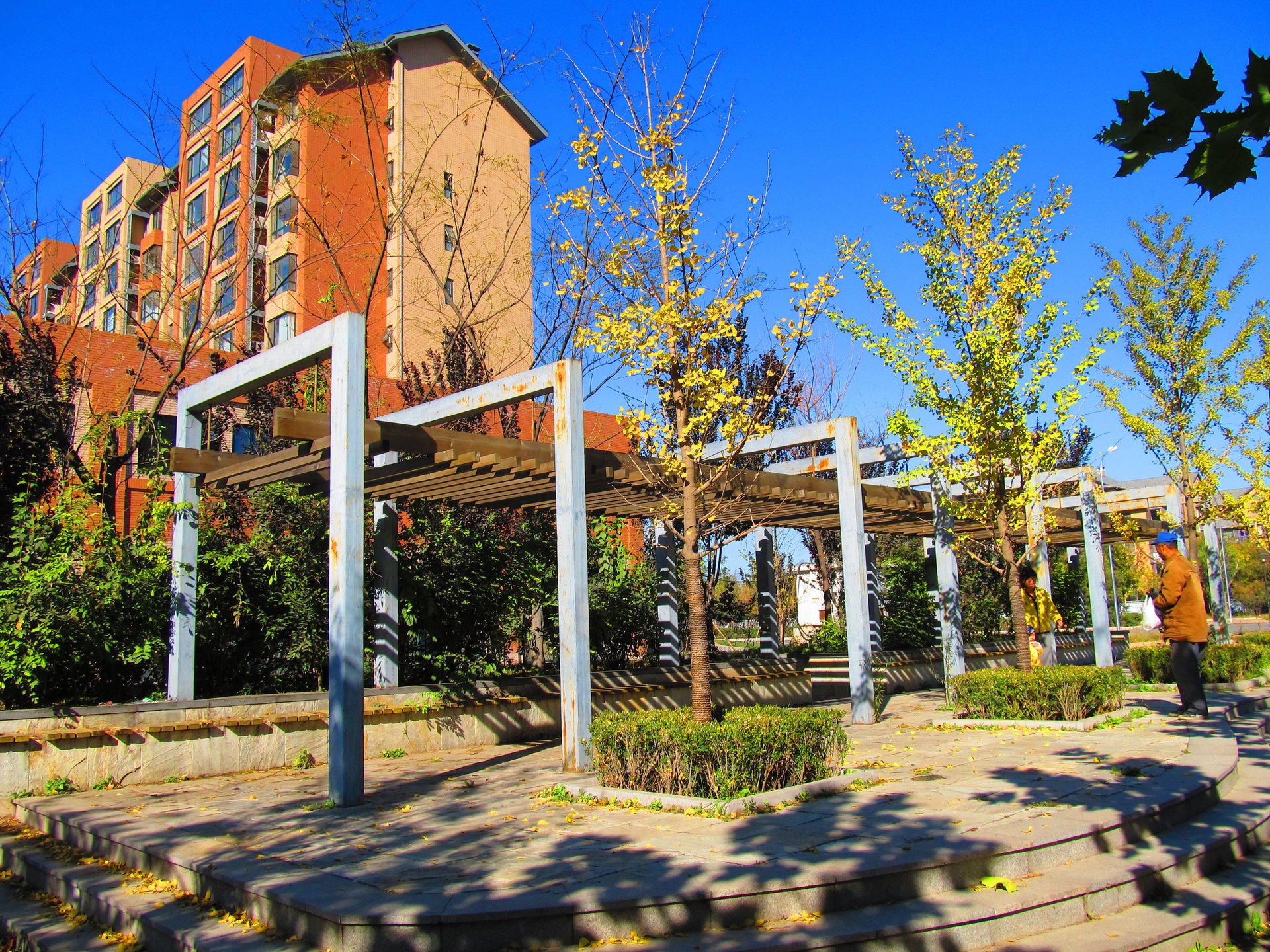 奥林匹克花园二期 environment