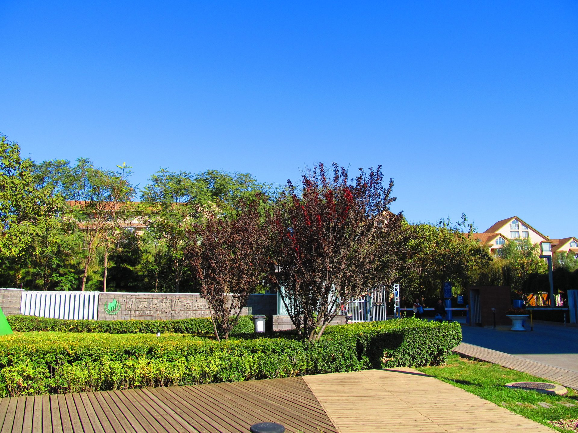 奥林匹克花园二期 environment