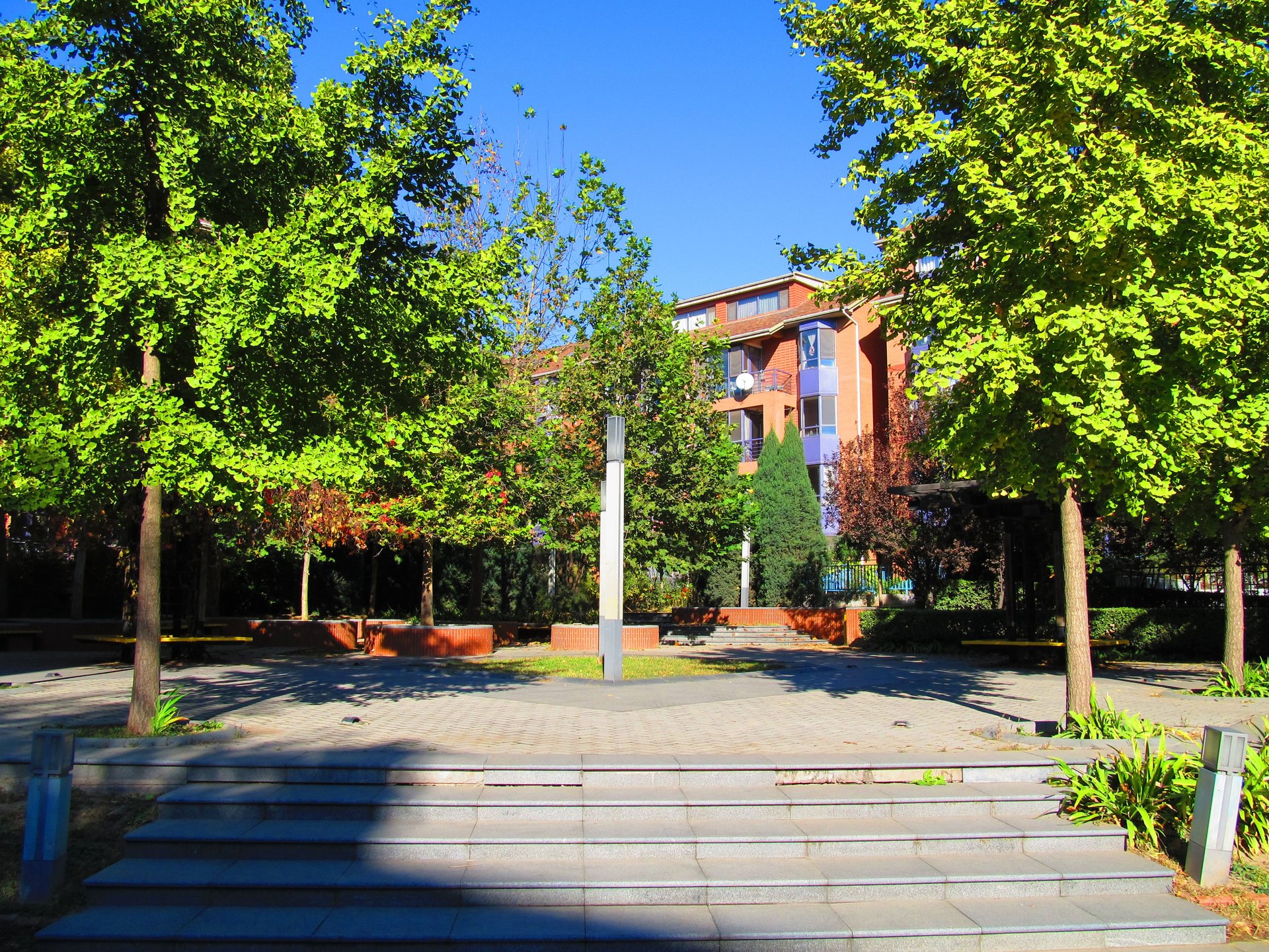 奥林匹克花园二期 environment