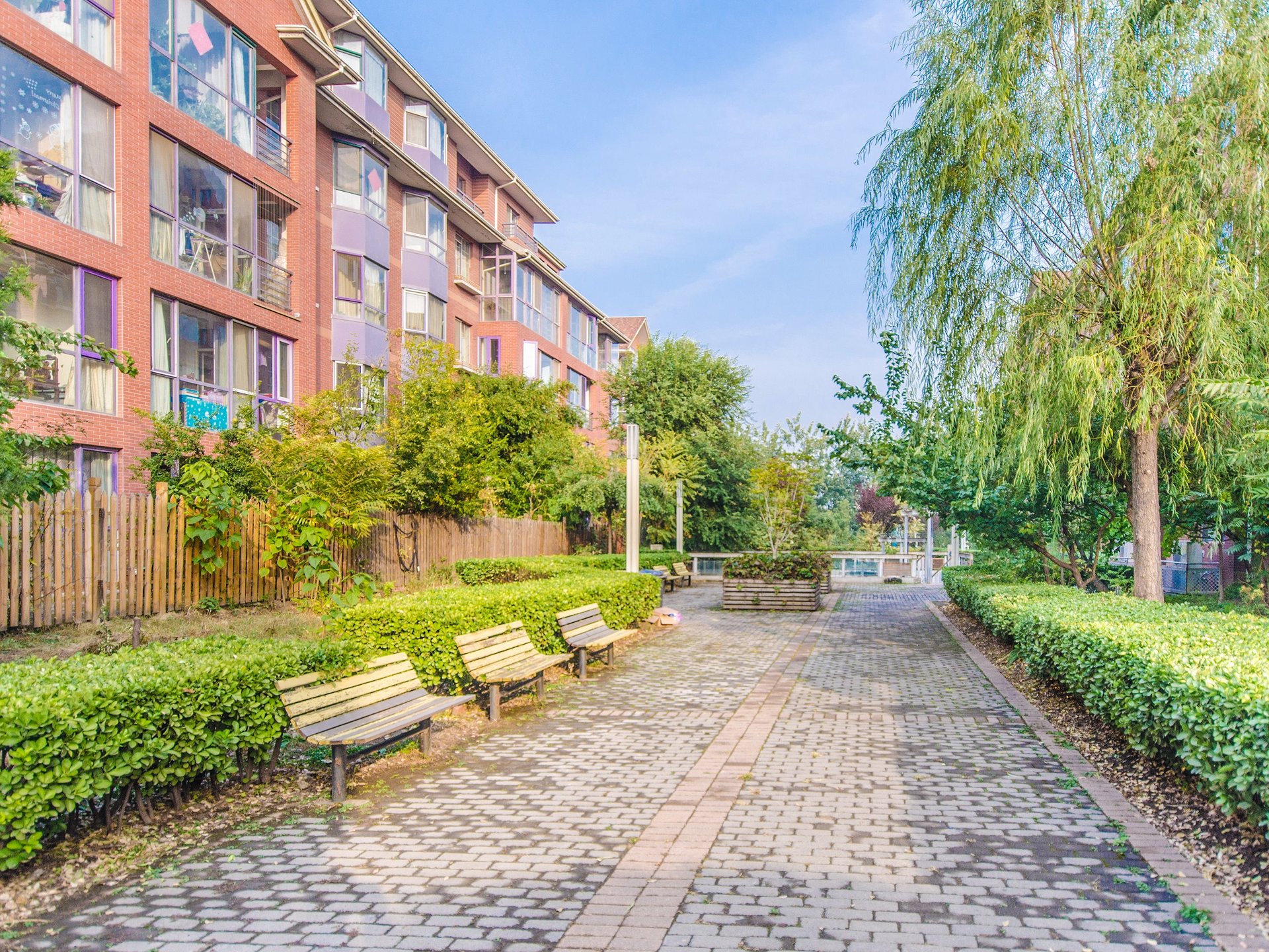 奥林匹克花园二期 environment