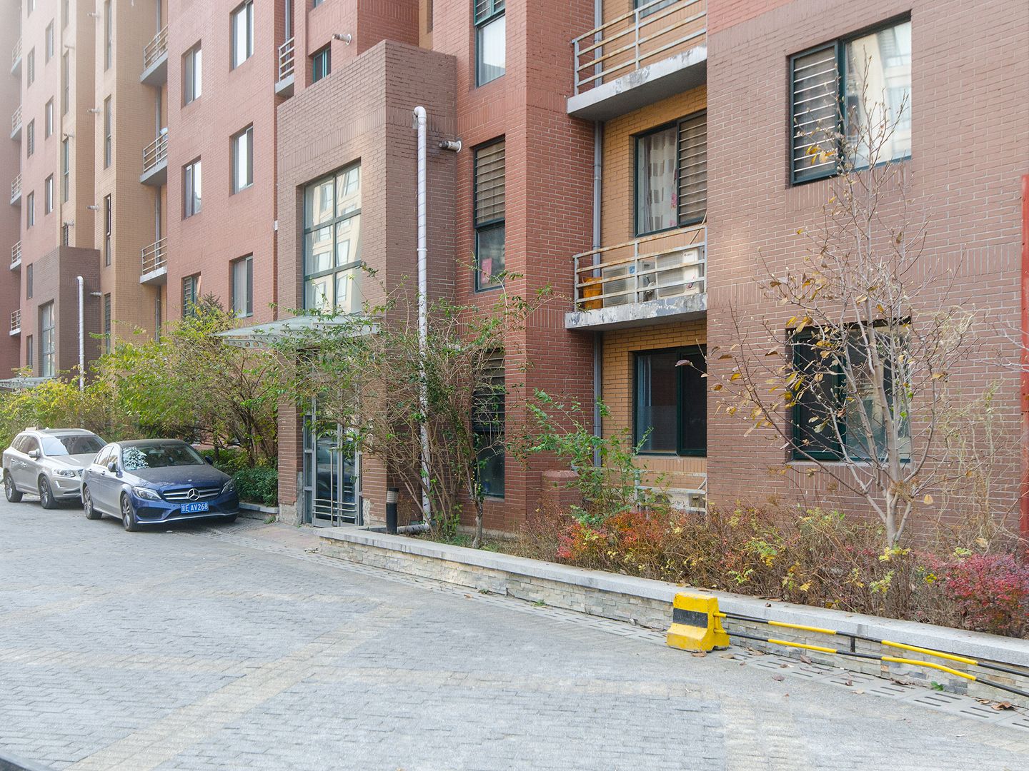 奥林匹克花园四期 environment