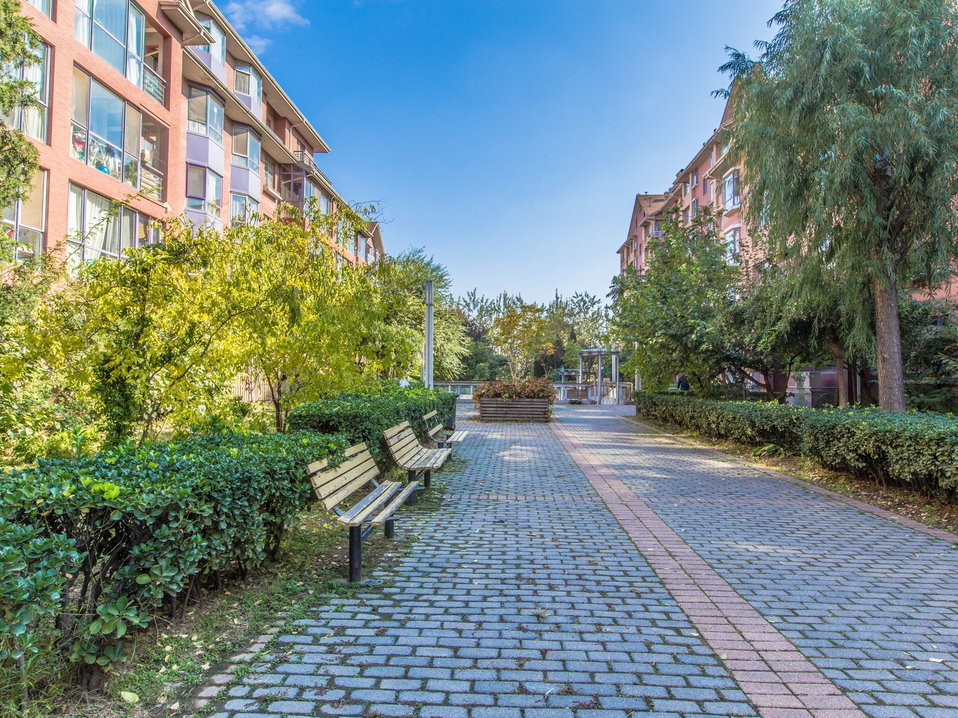 奥林匹克花园一期 environment