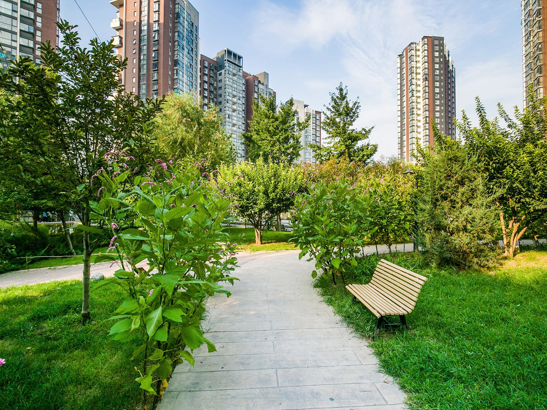 澳洲康都 environment