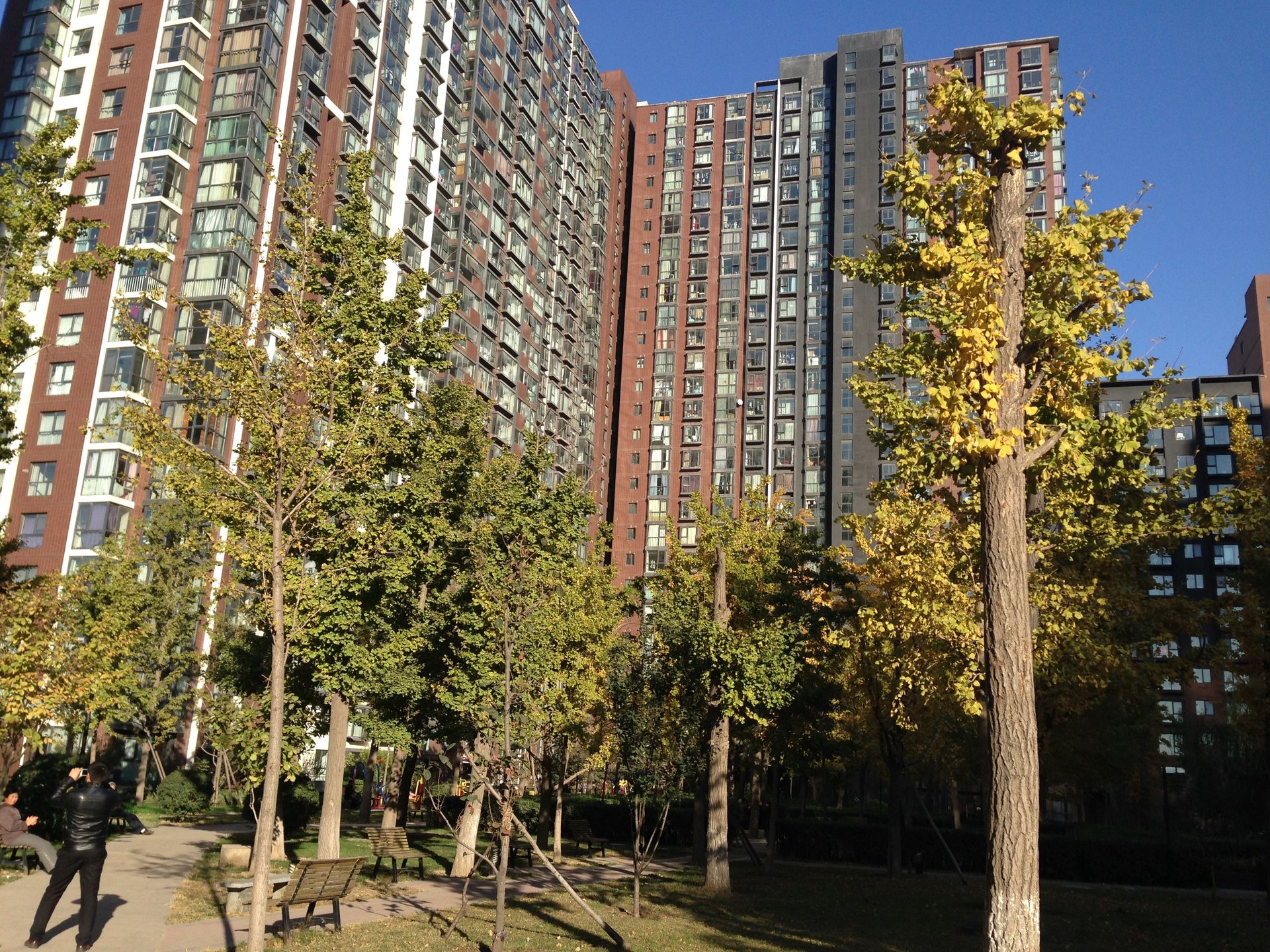 澳洲康都 environment