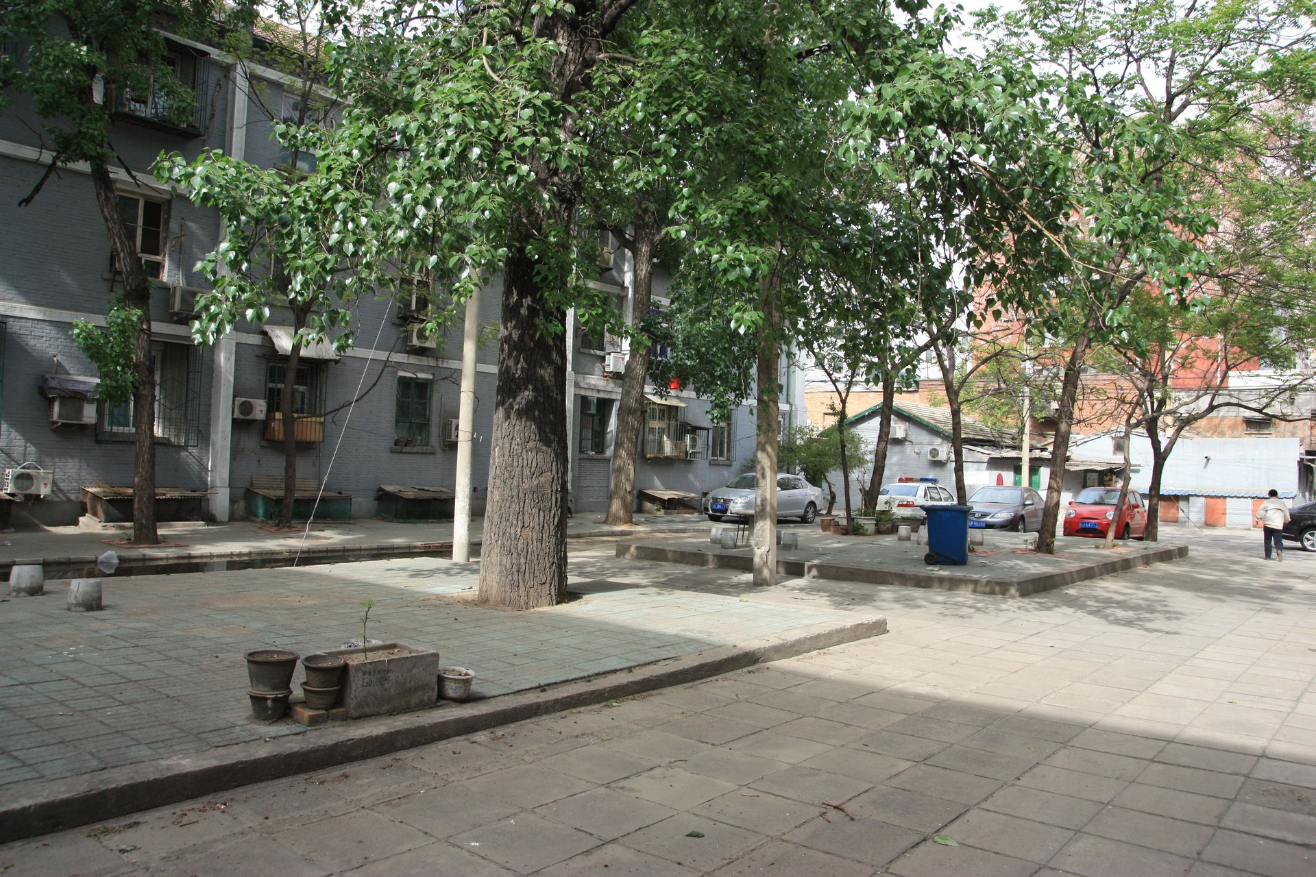 白广路二条 environment