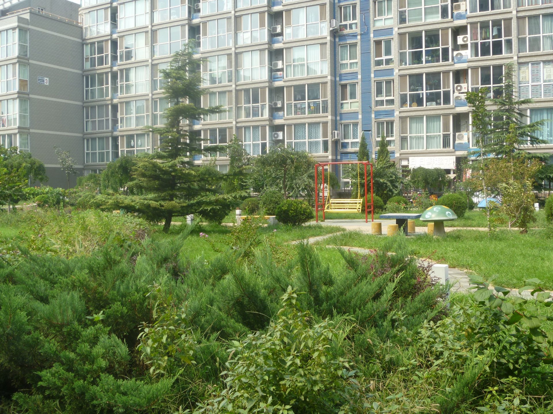 白领家园 environment