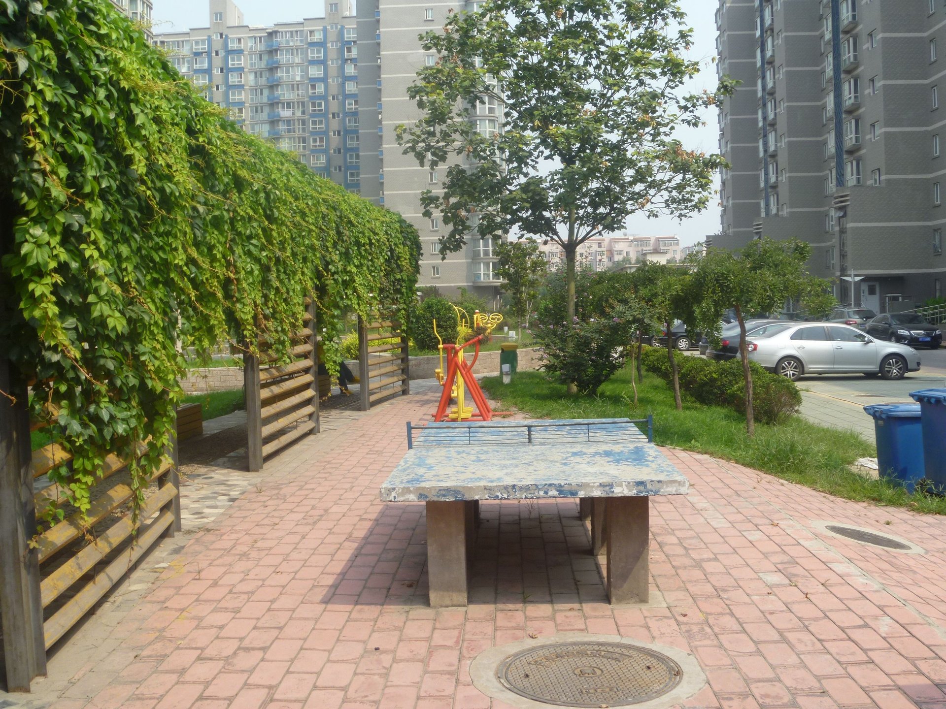 白领家园 environment