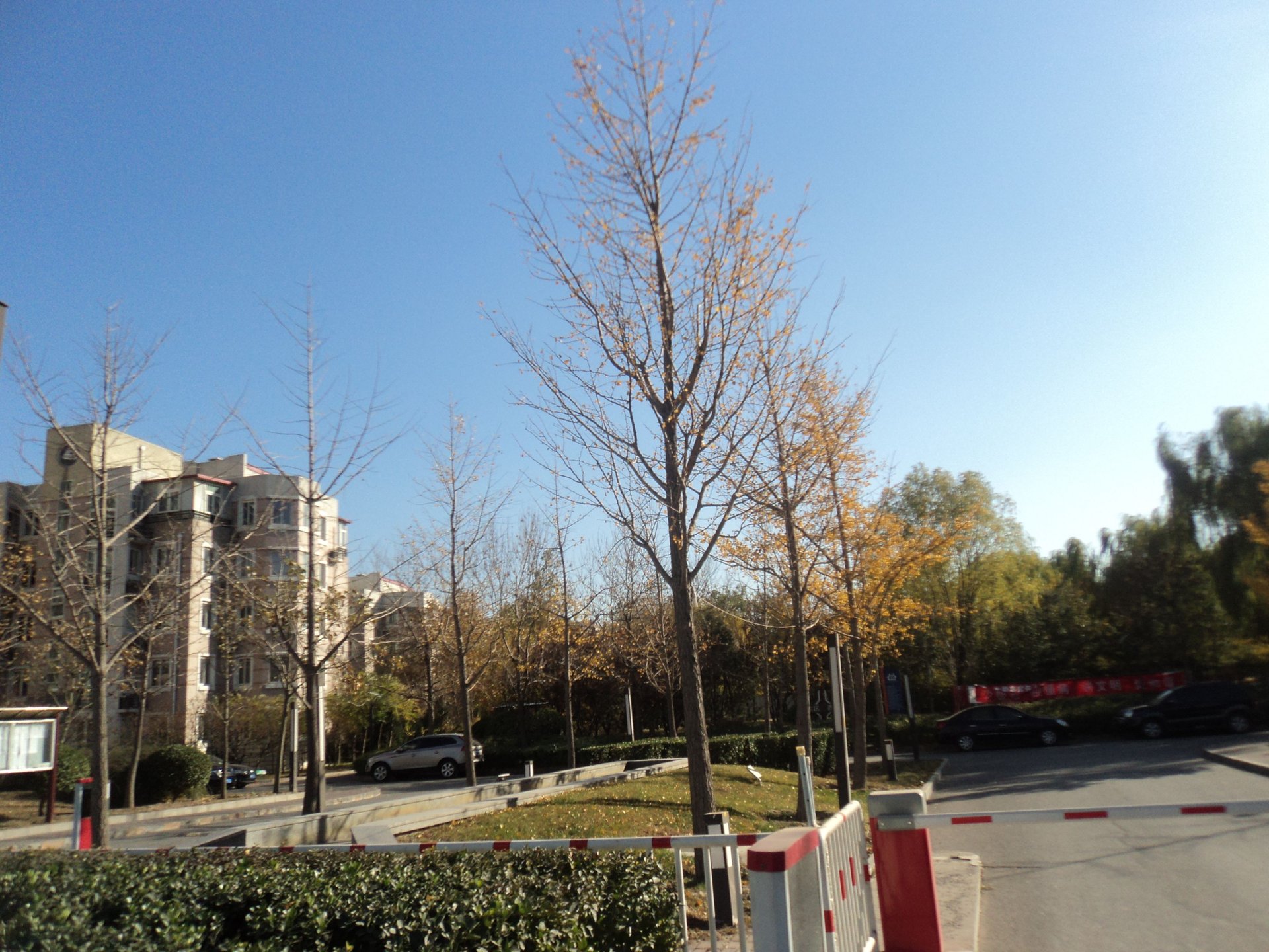 百旺家苑 environment