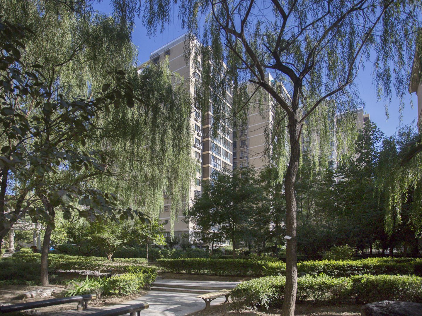 保利蔷薇 environment