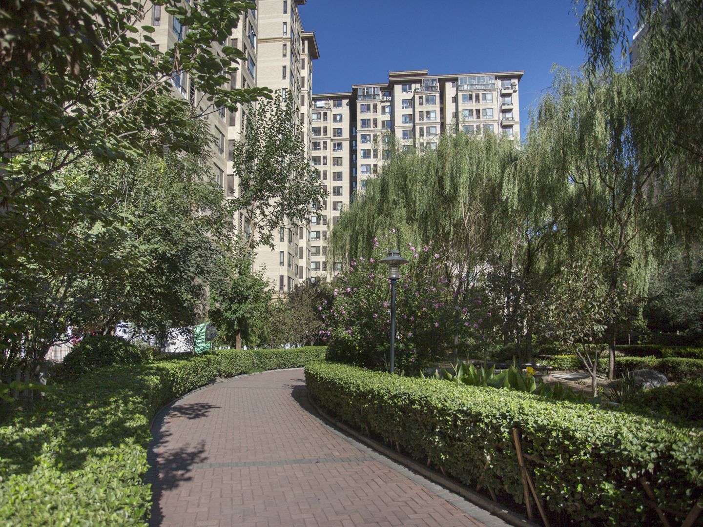 保利蔷薇 environment