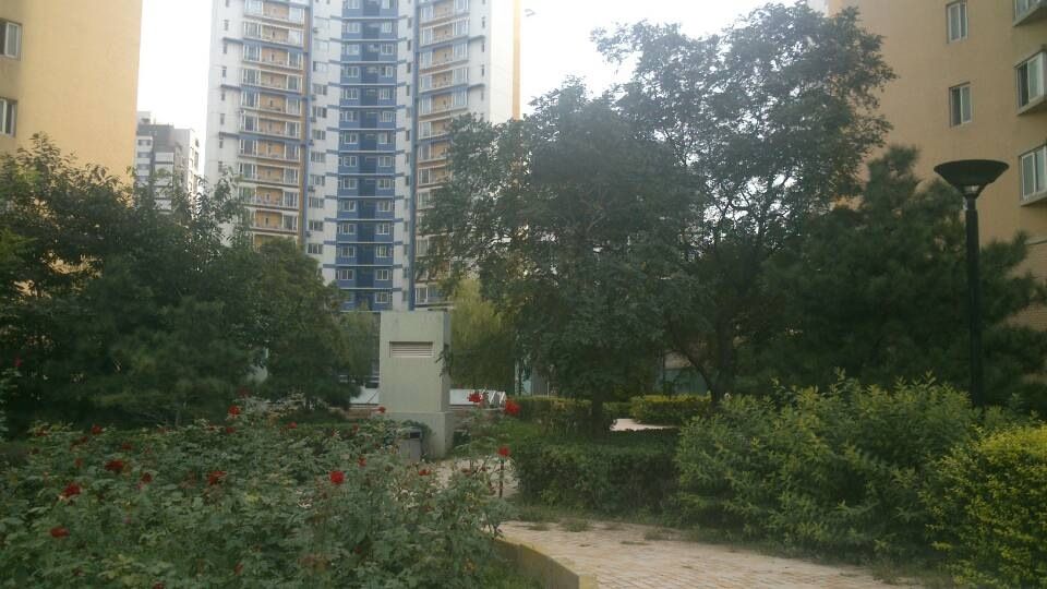 宝星园一区 environment