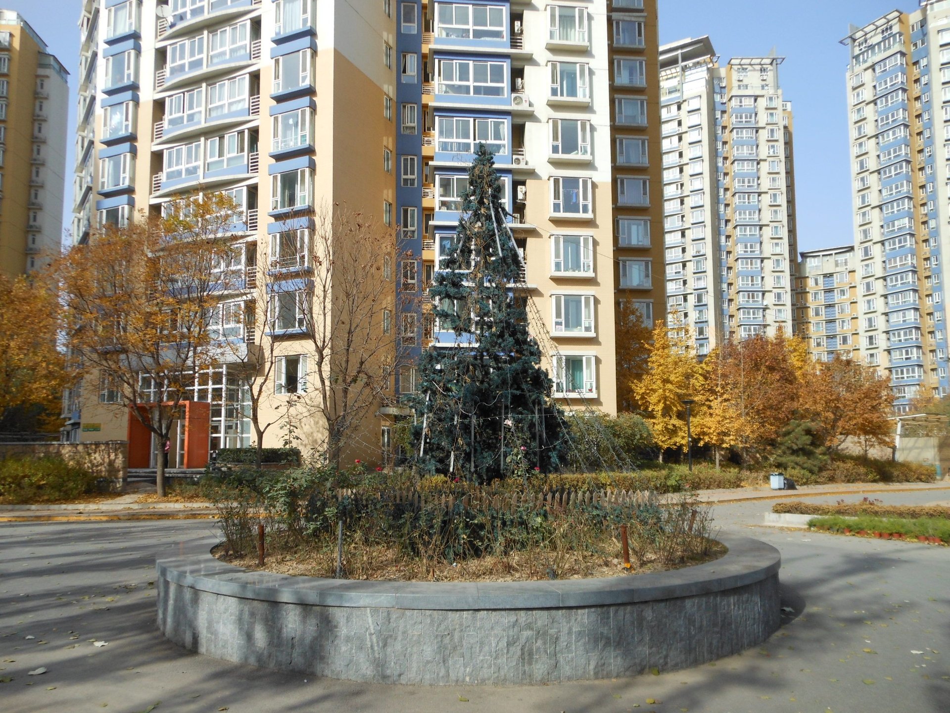 宝星园一区 environment