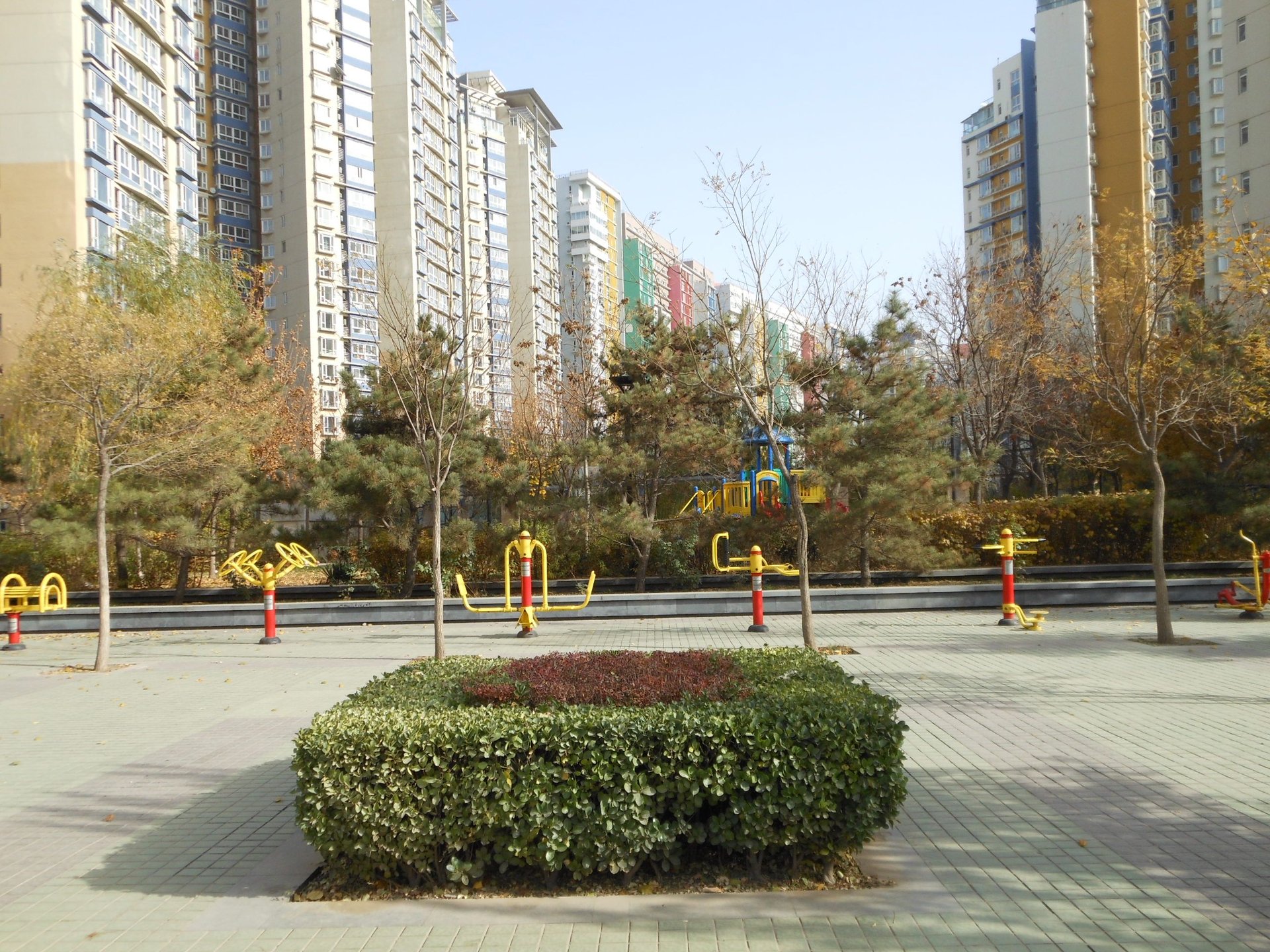 宝星园一区 environment