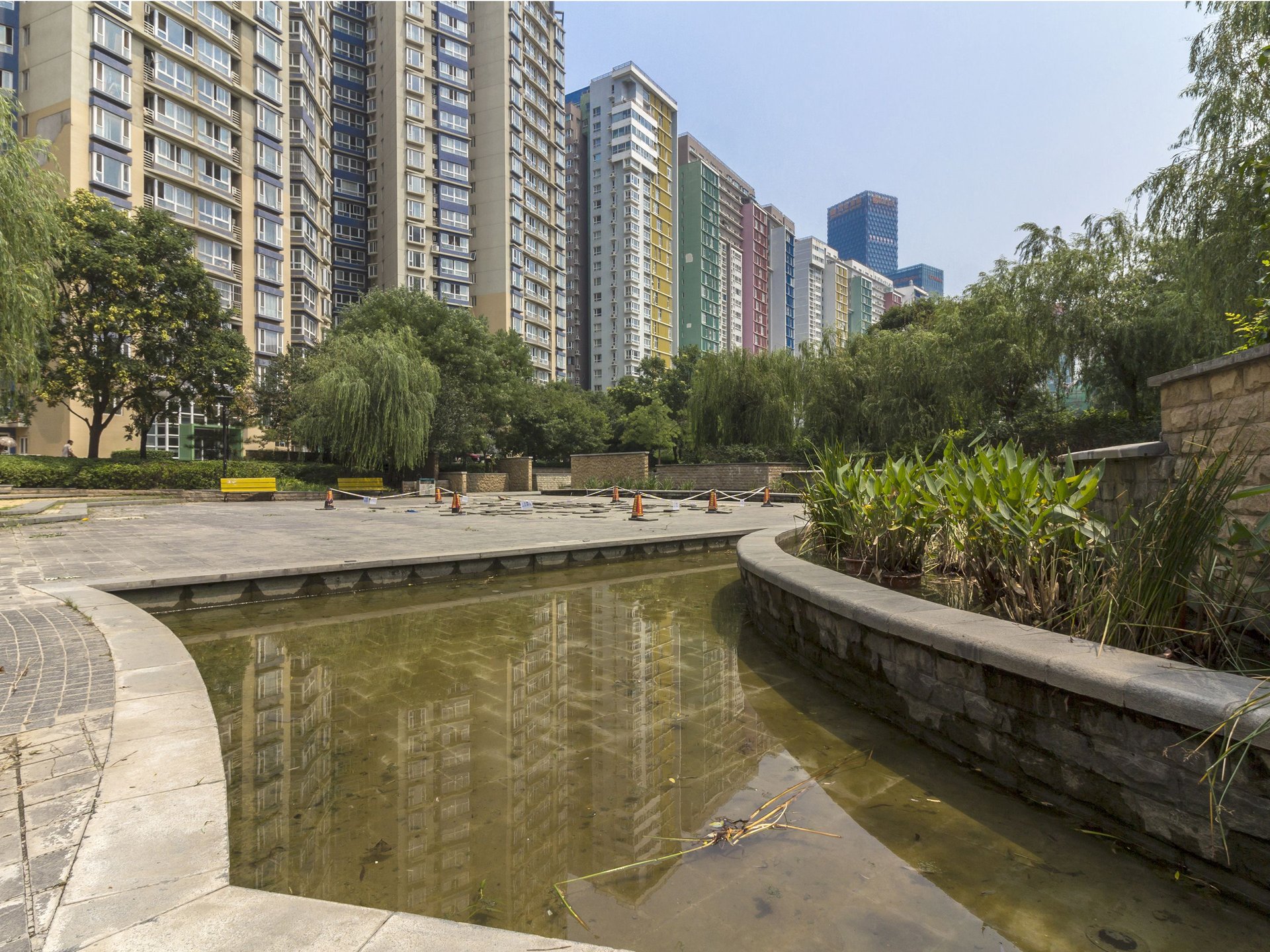 宝星园一区 environment