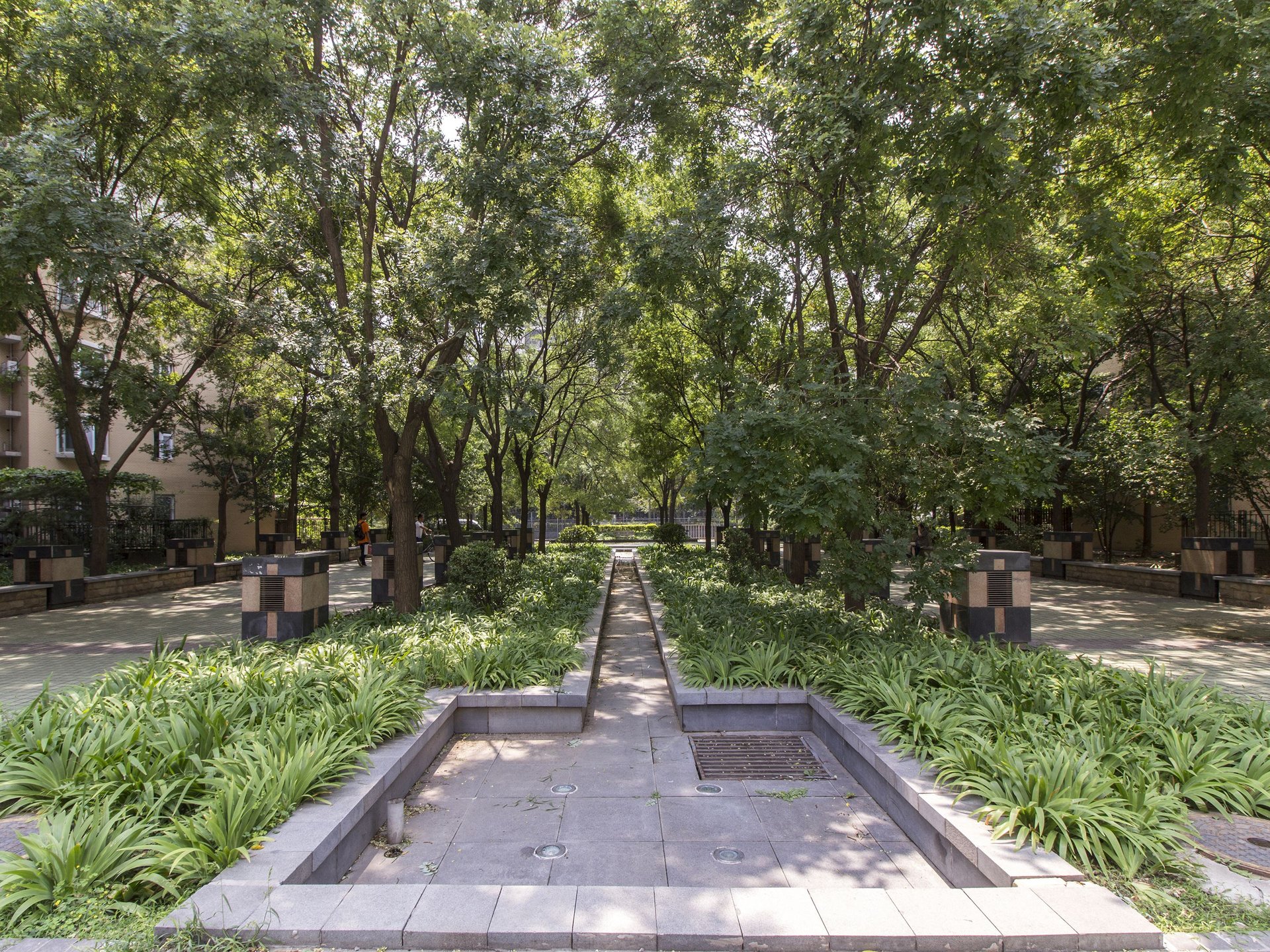 宝星园一区 environment