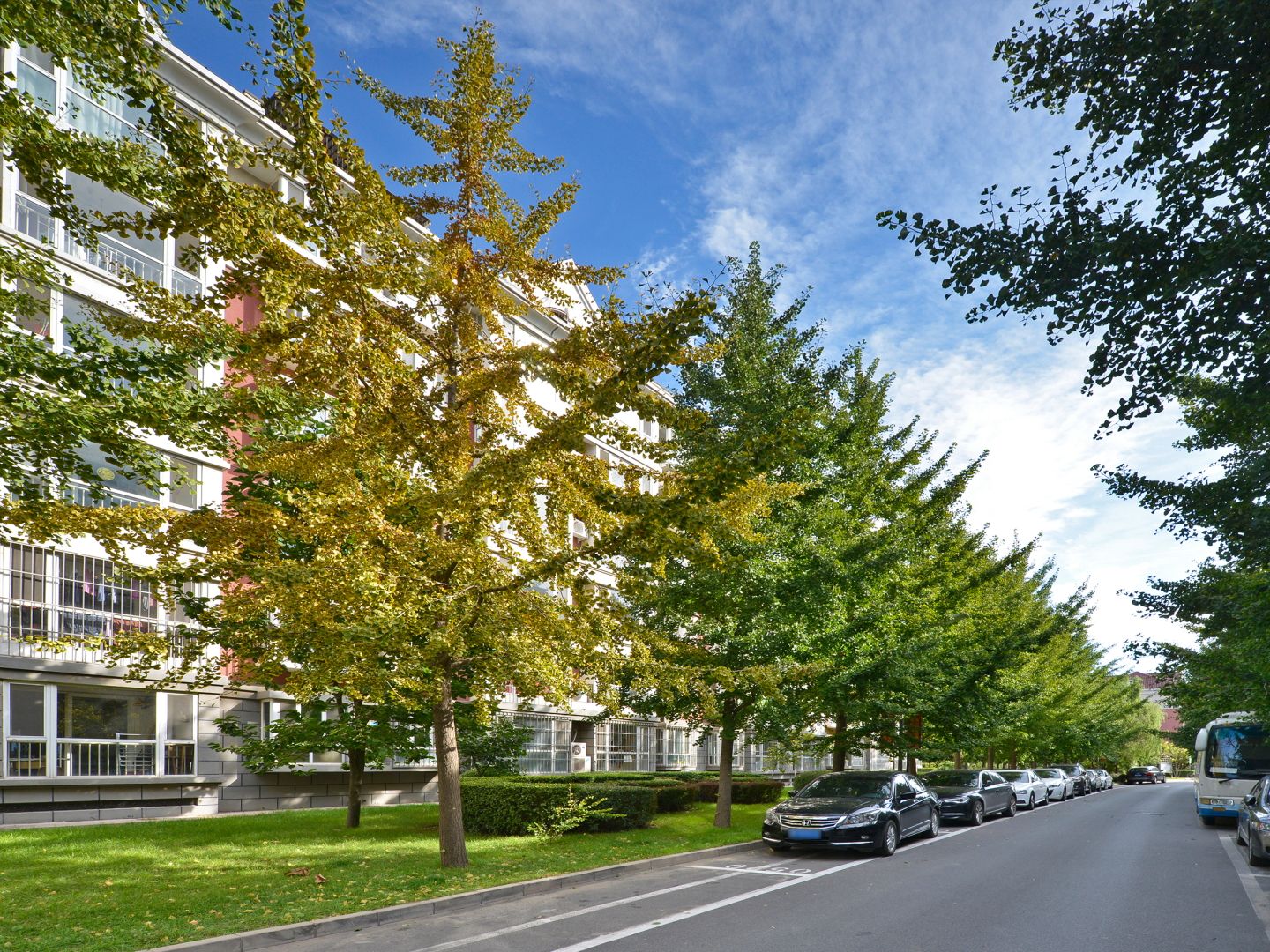 北店嘉园 environment