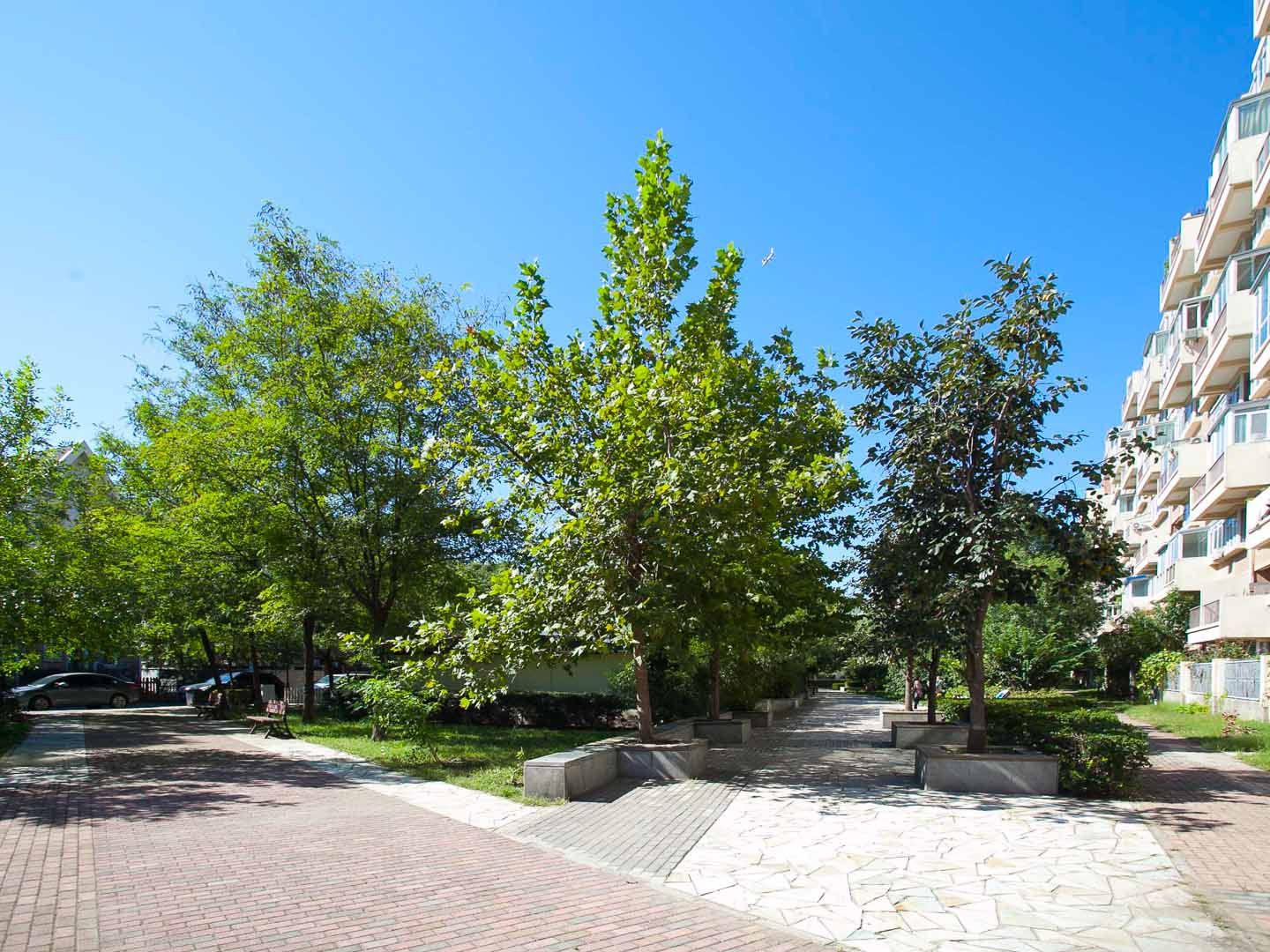 北街家园二区 environment