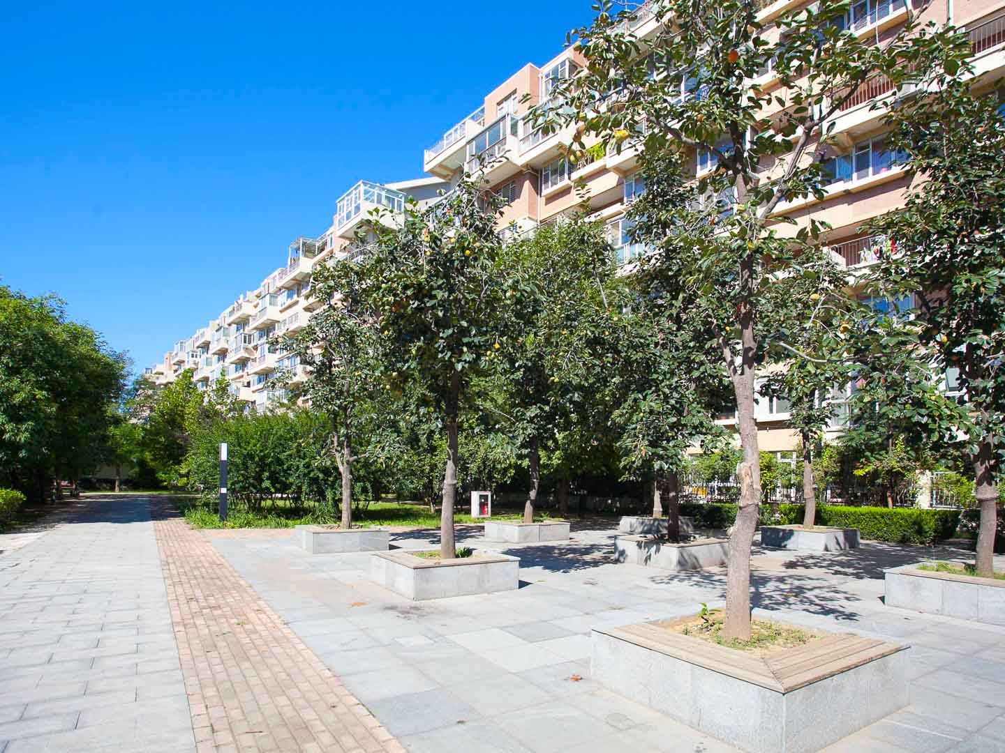 北街家园二区 environment