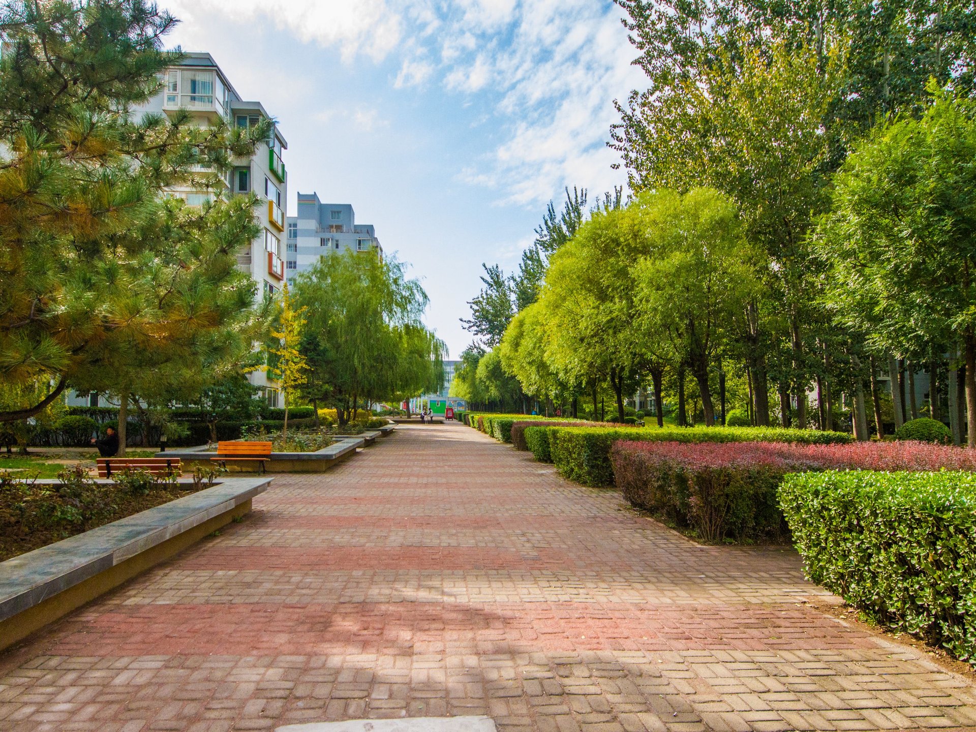 北京青年城 environment