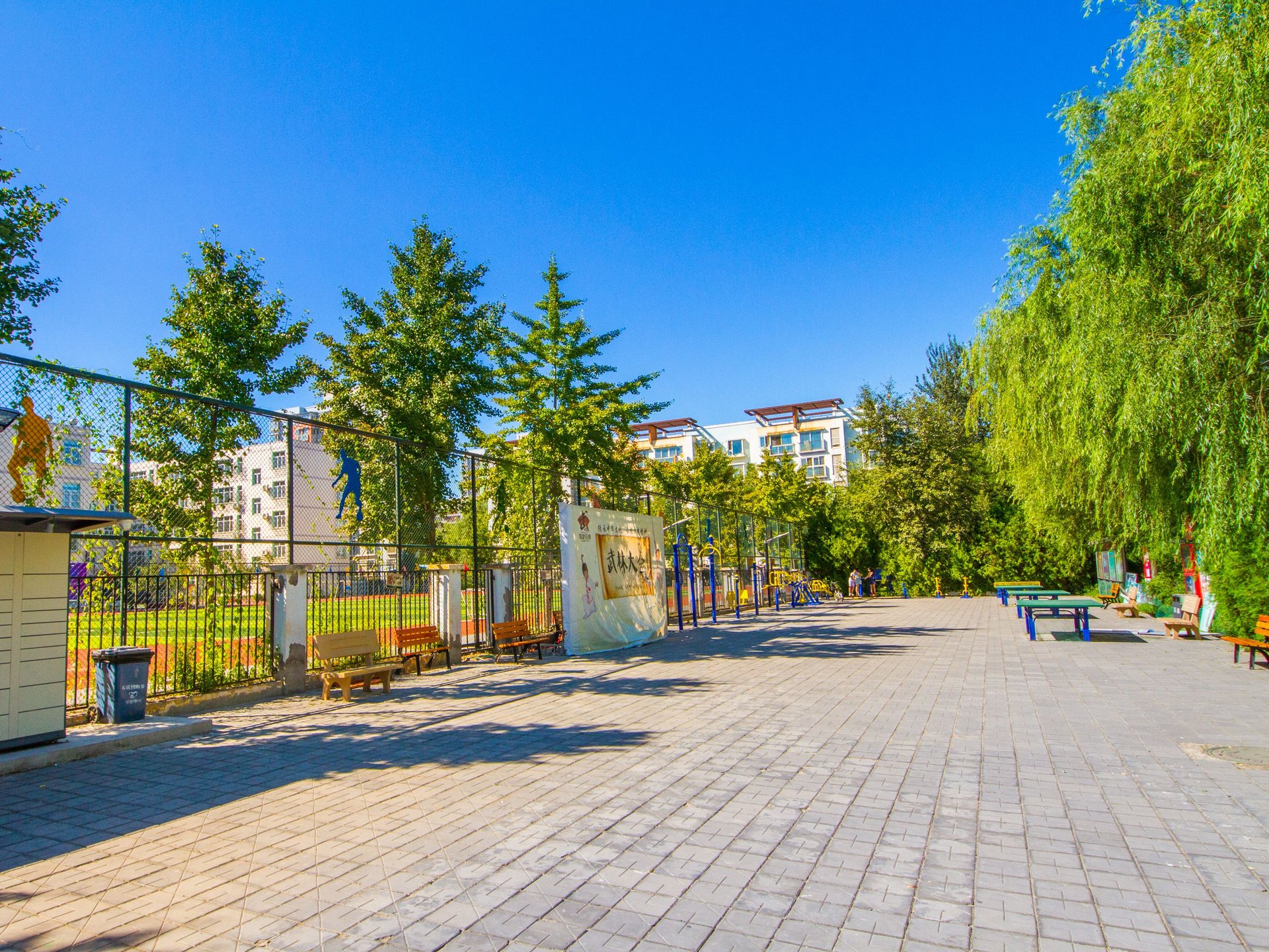 北京青年城 environment