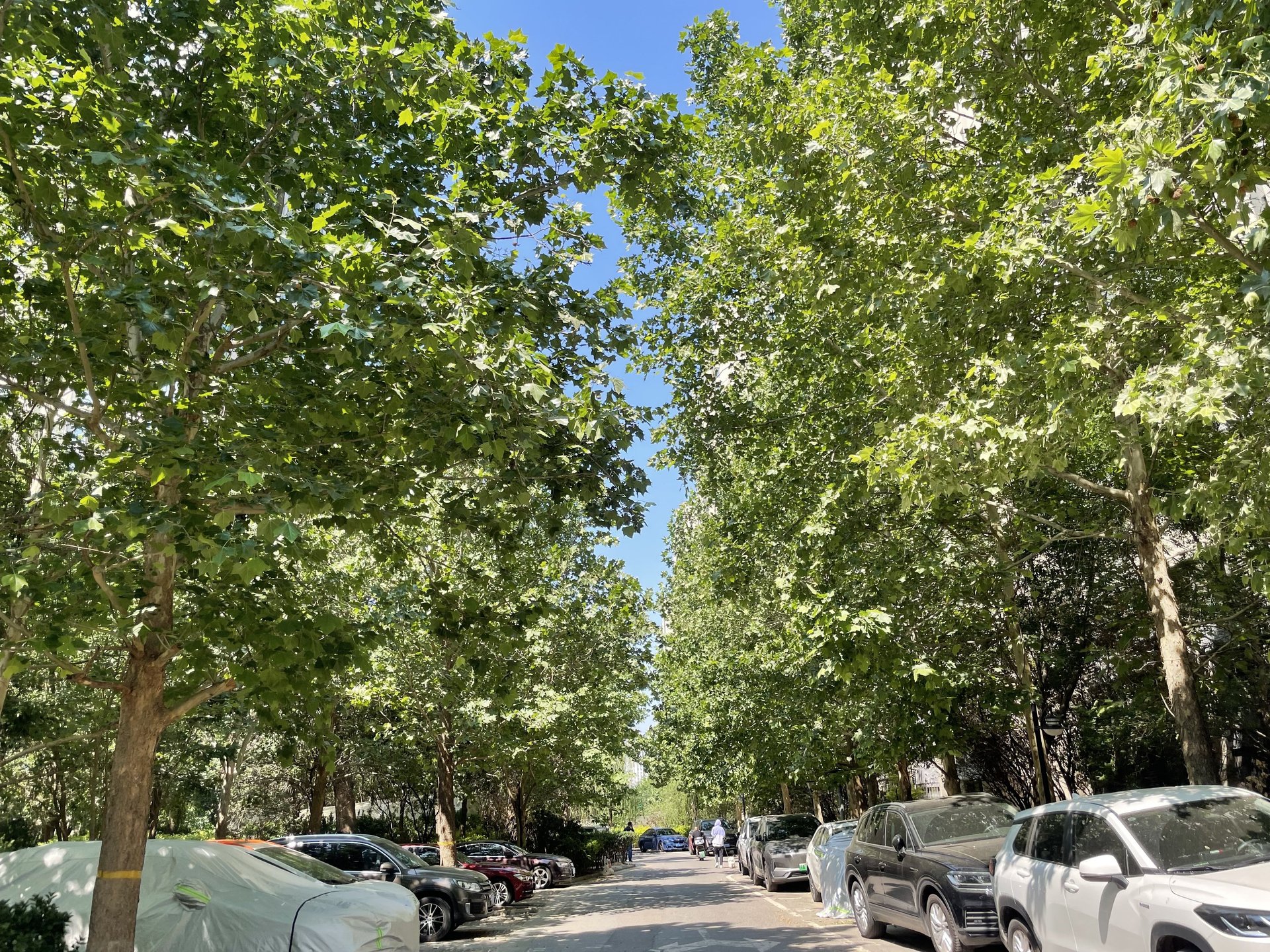 北京新天地三期 environment