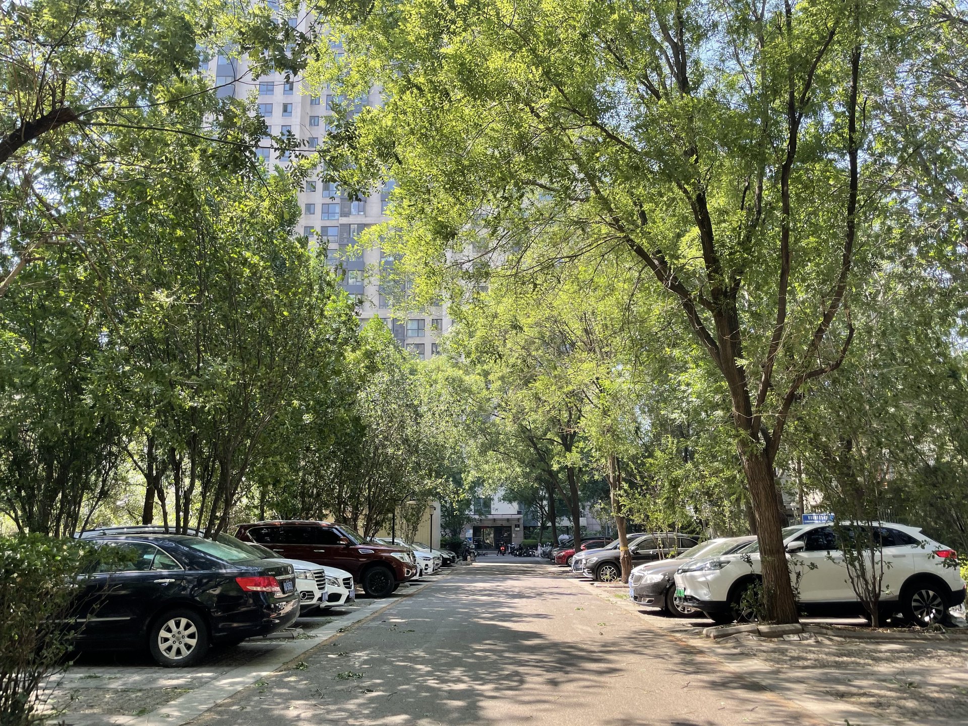 北京新天地一期 environment