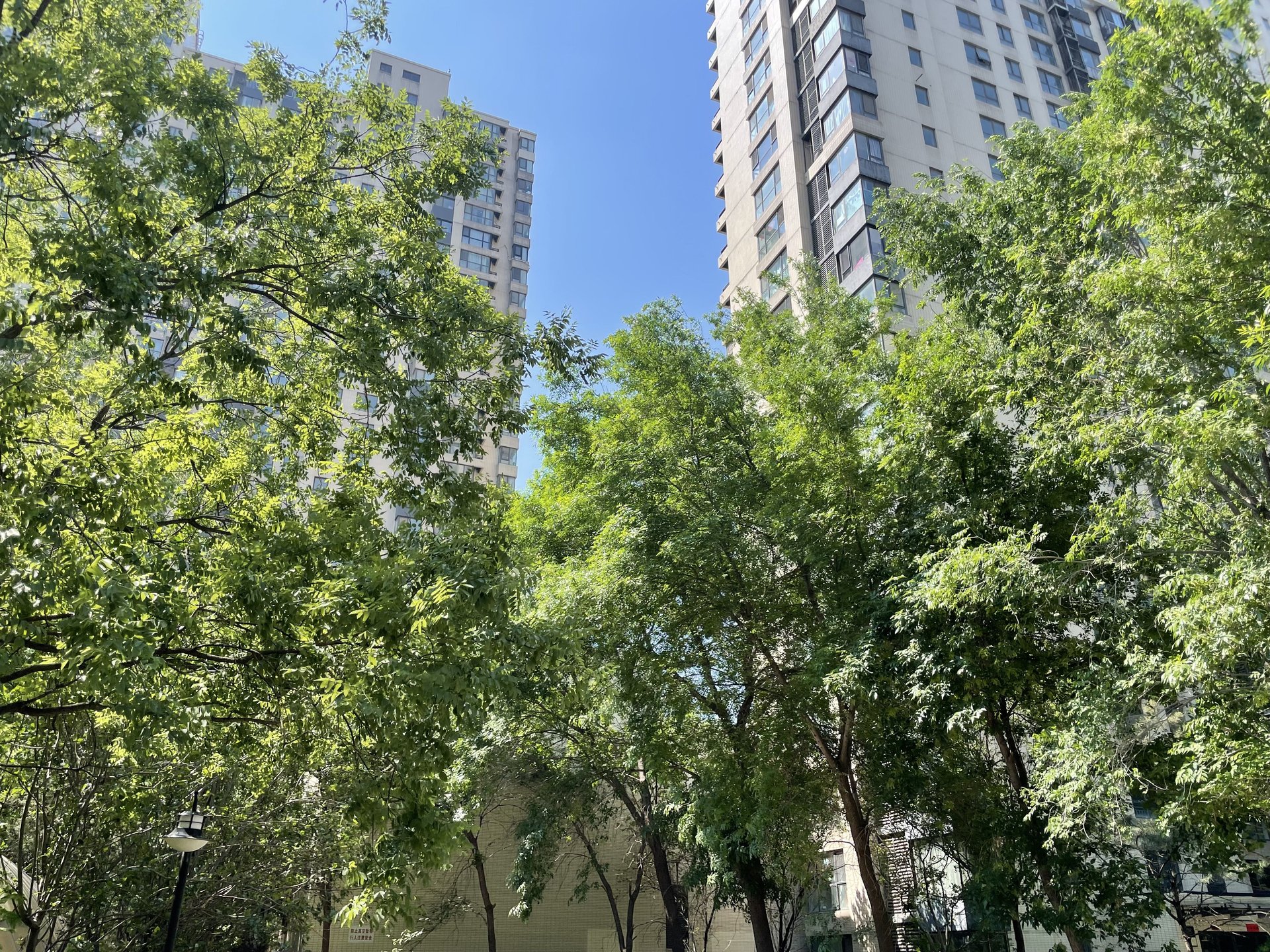 北京新天地一期 environment