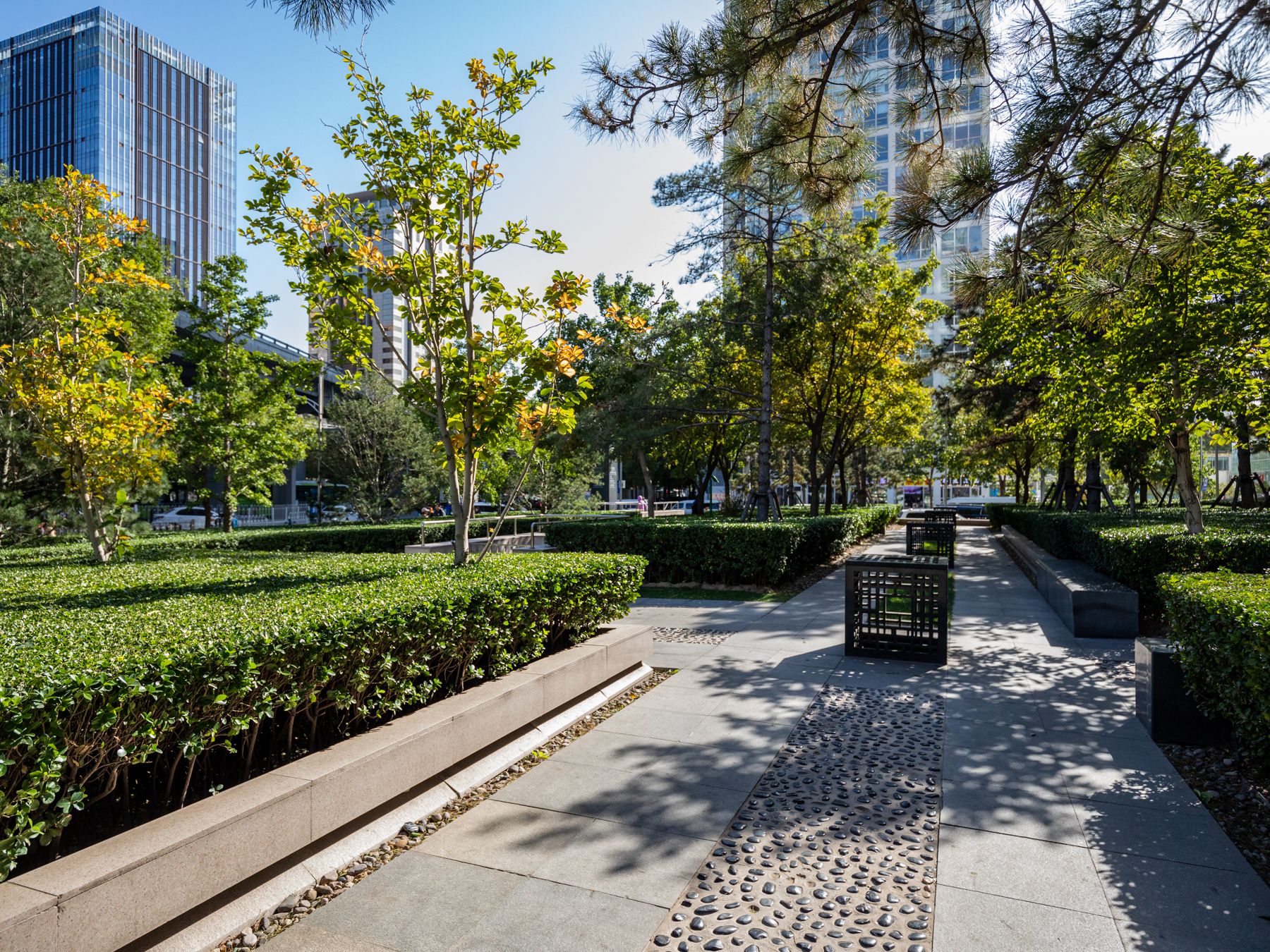 北京银泰中心 environment