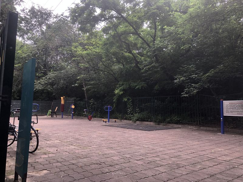 北太平庄路 environment