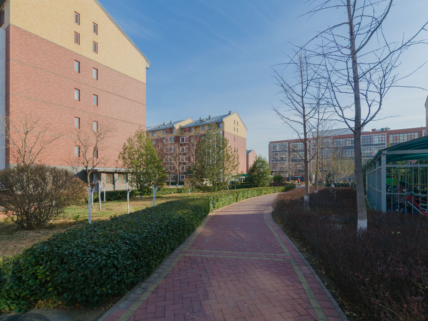 北坞嘉园南里 environment