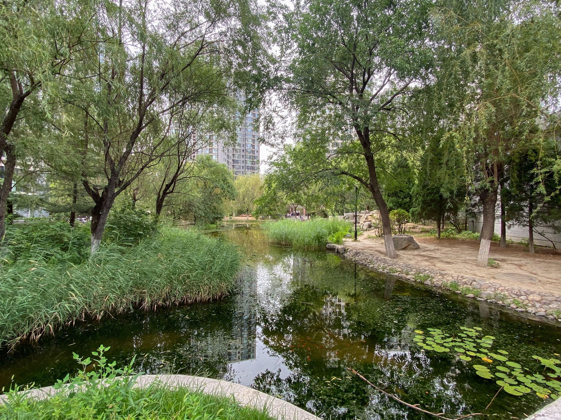 北苑家园望春园 environment