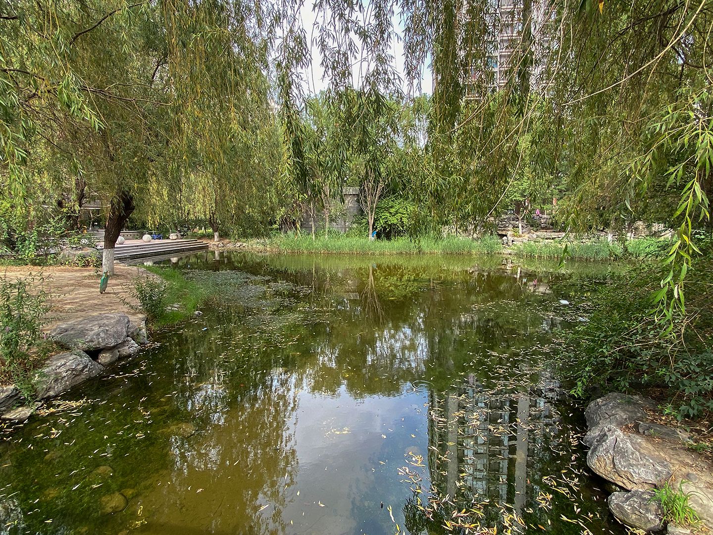 北苑家园望春园 environment