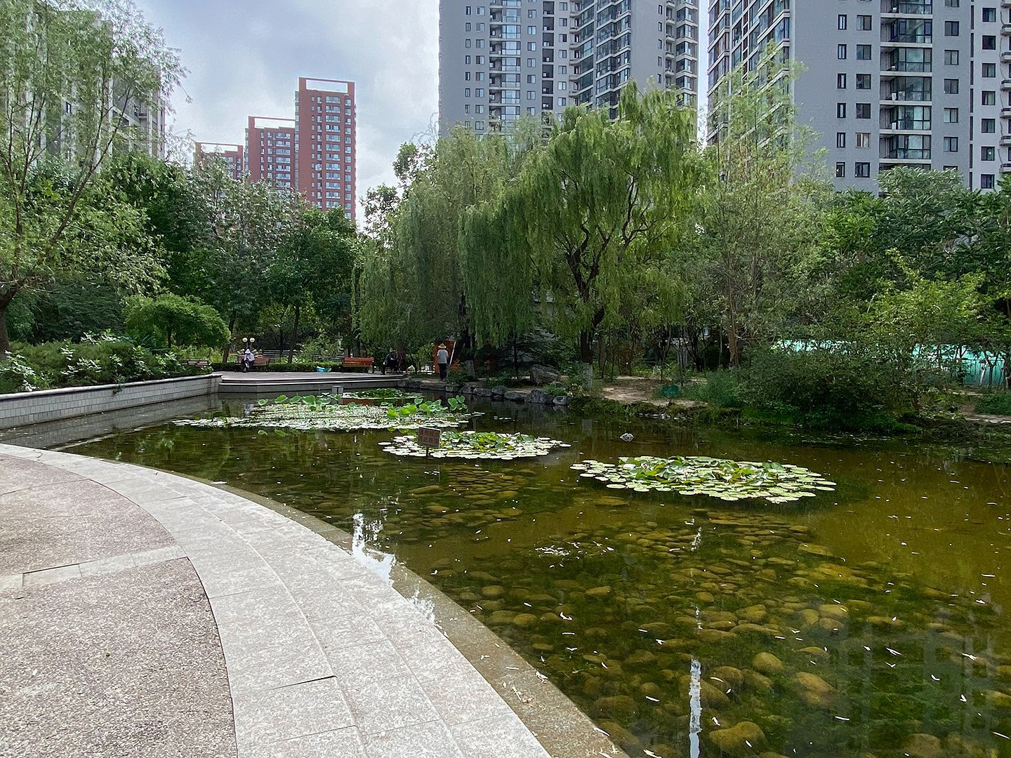 北苑家园望春园 environment