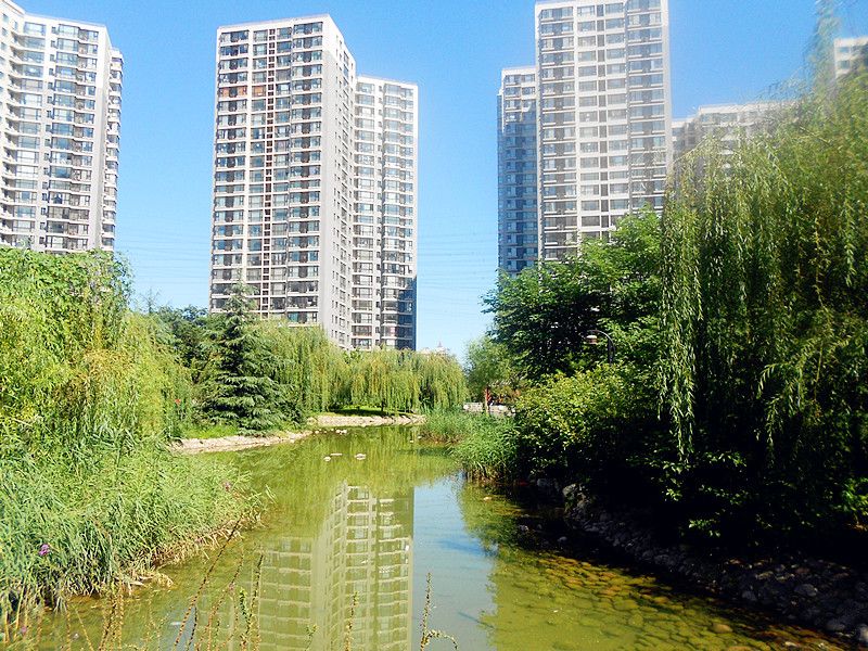 北苑家园望春园 environment