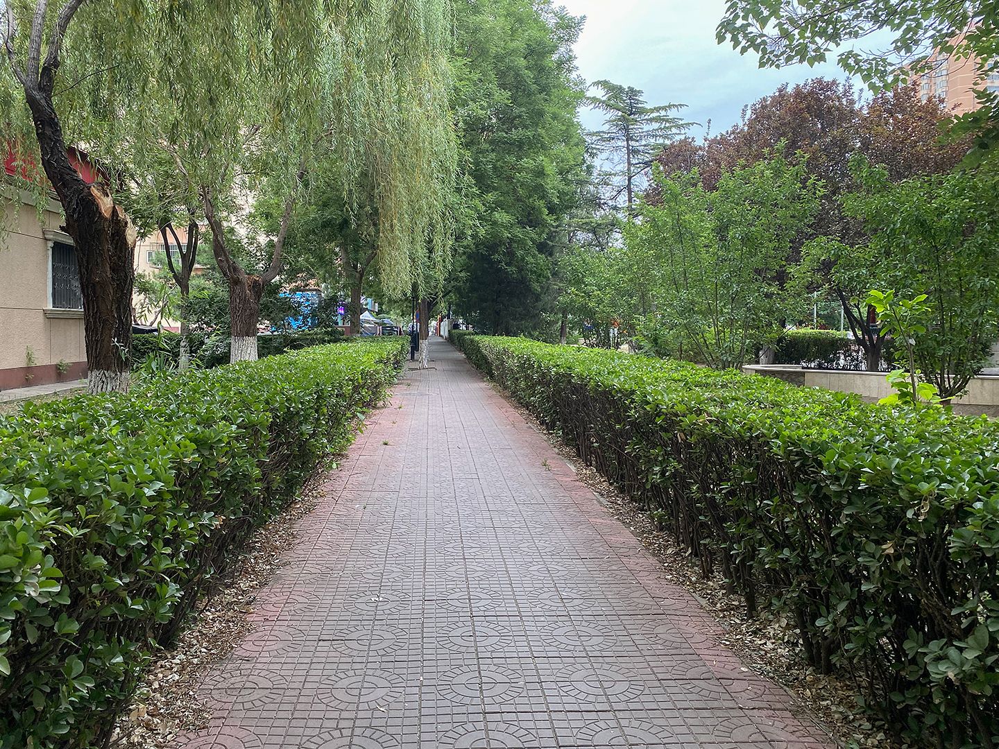 北苑家园绣菊园 environment