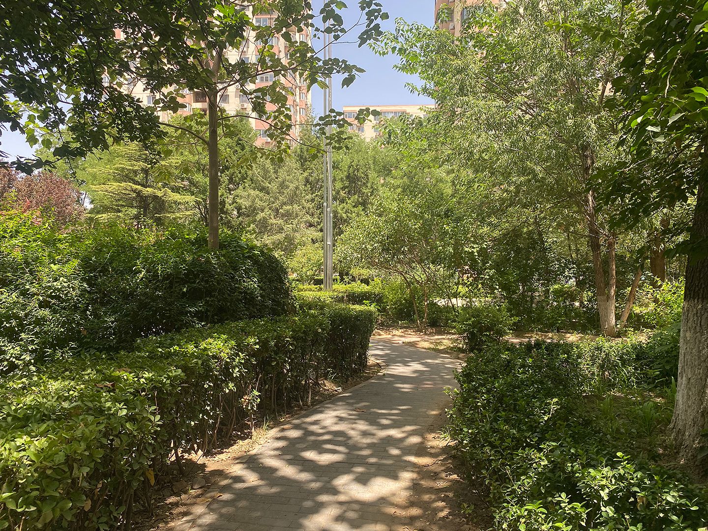 北苑家园绣菊园 environment